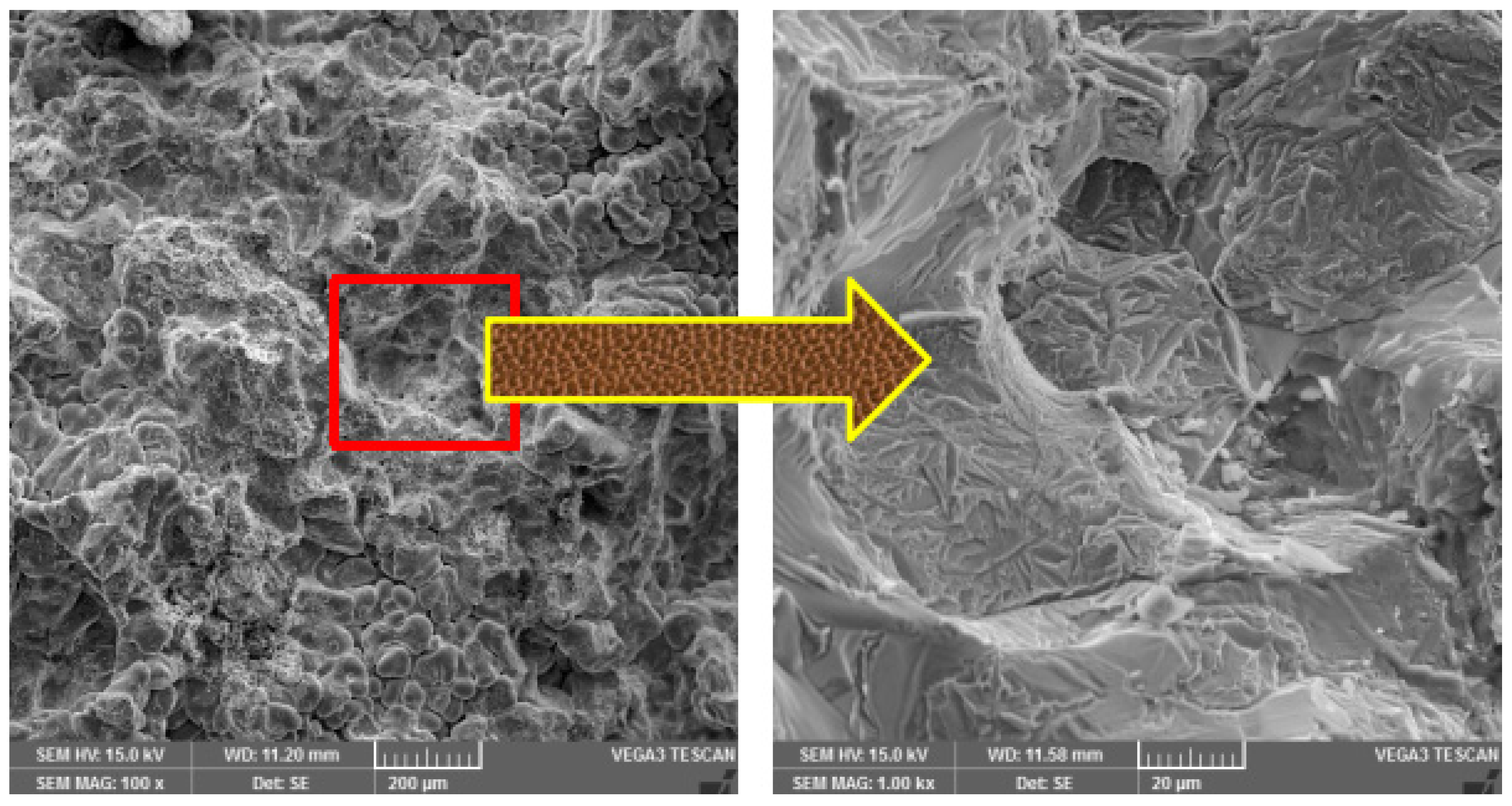 Coatings 12 00365 g010