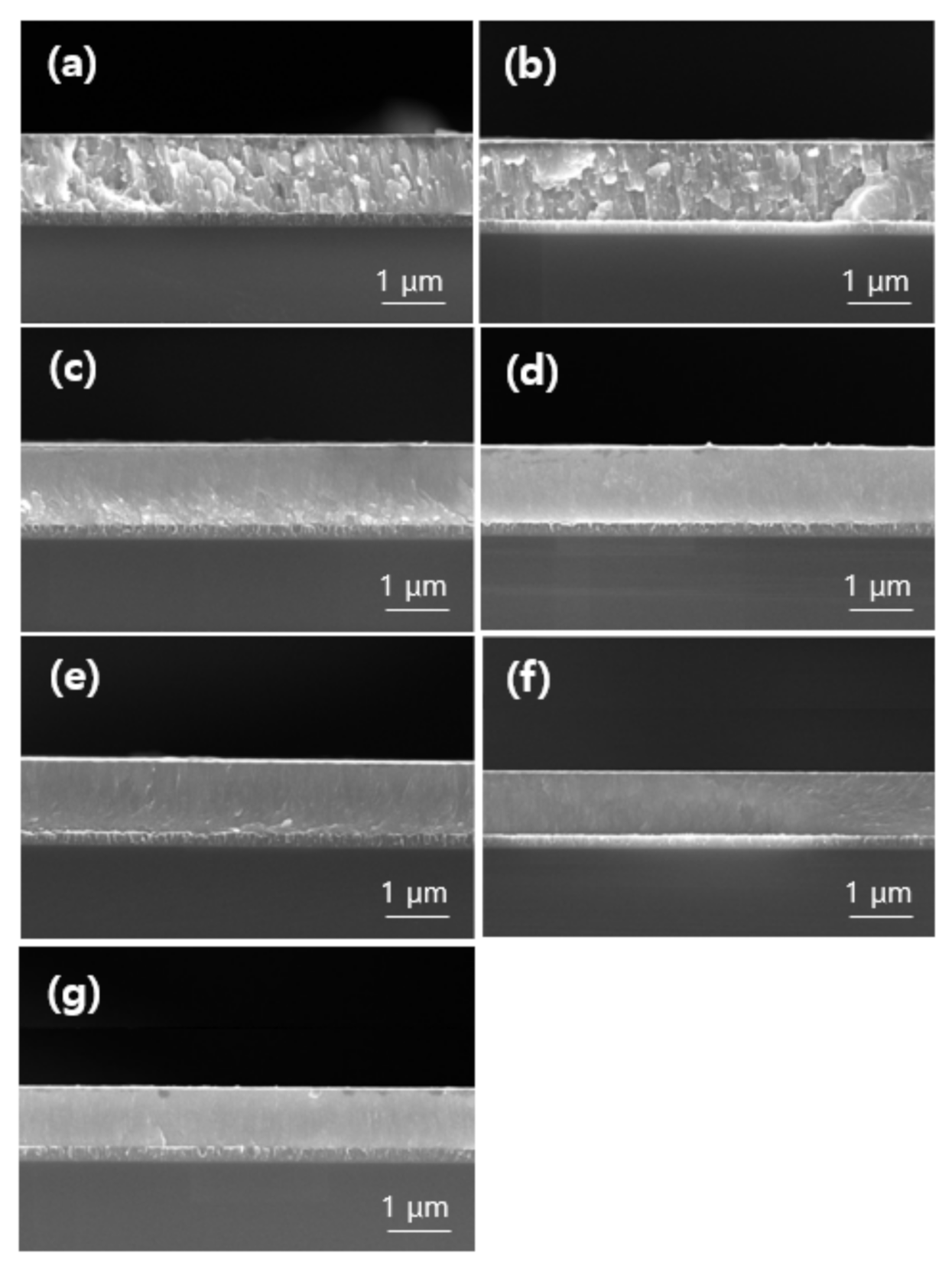 Coatings 12 00371 g001