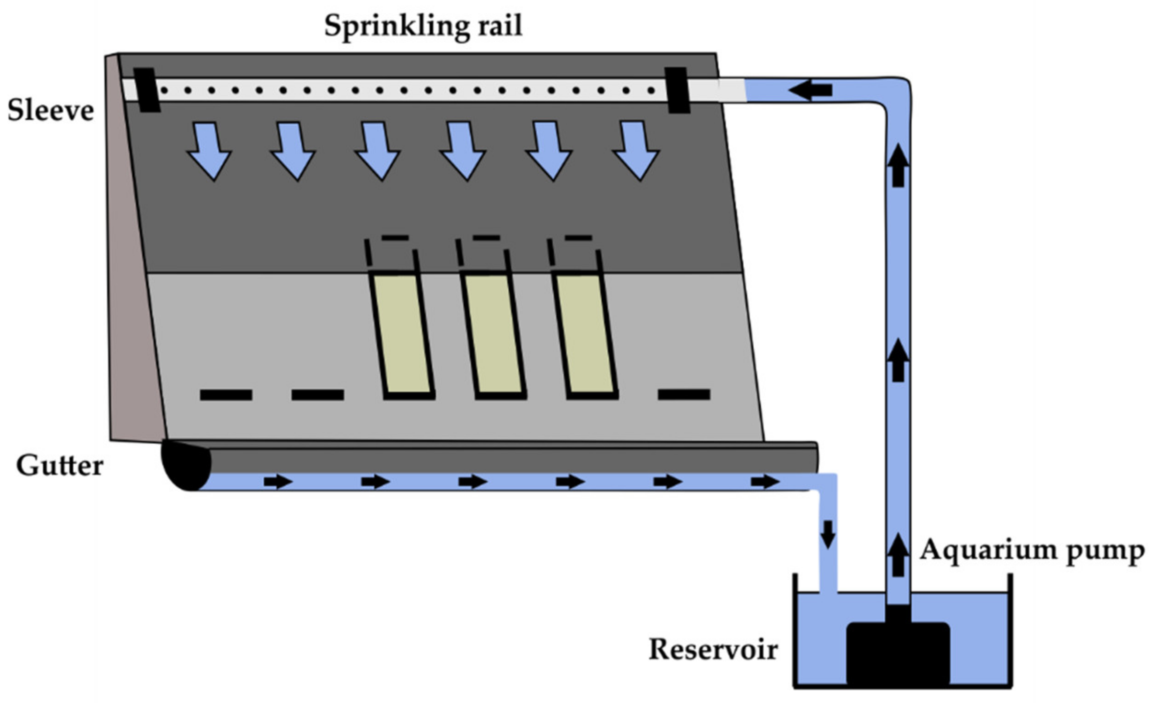 Coatings 12 00375 g001