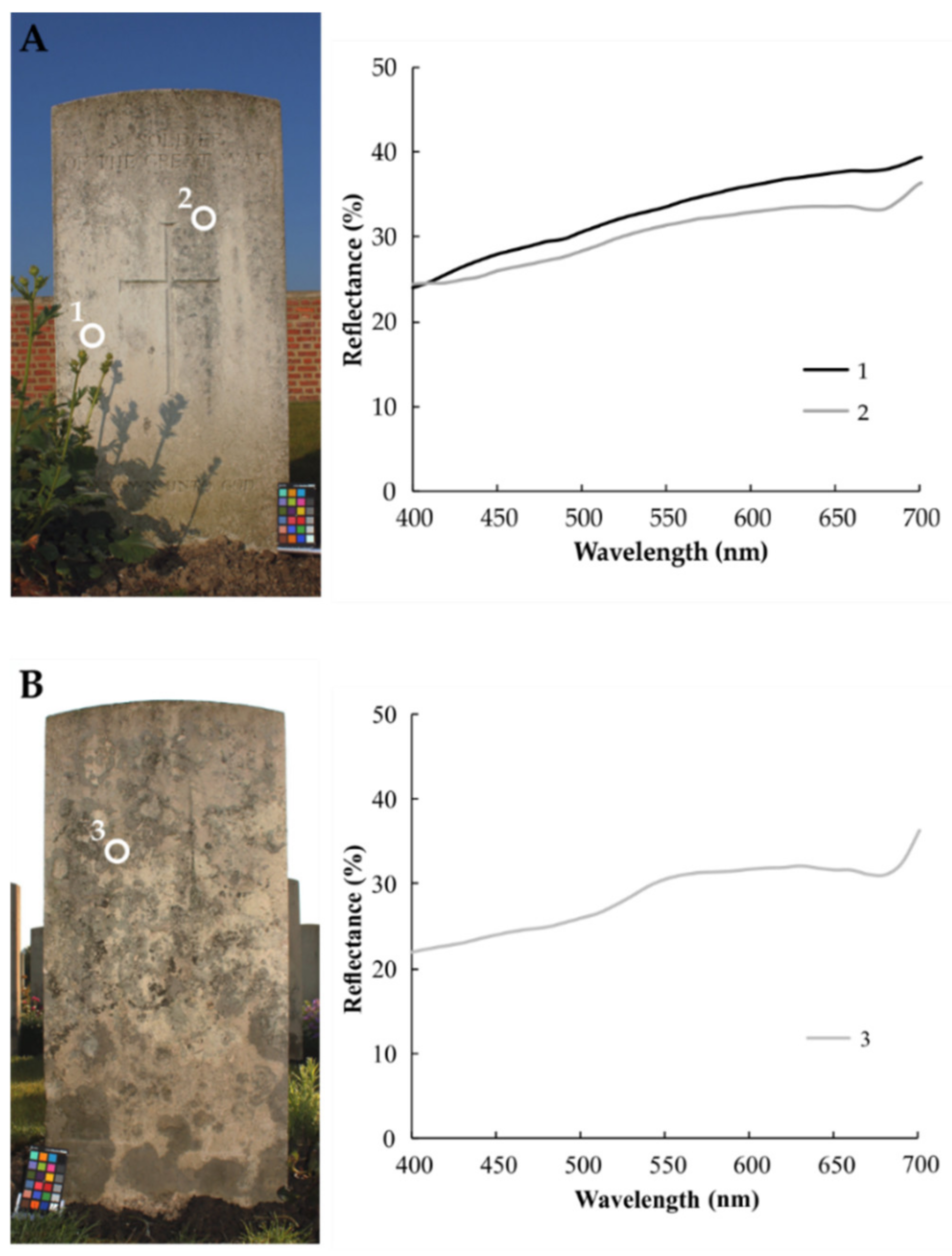 Coatings 12 00375 g004
