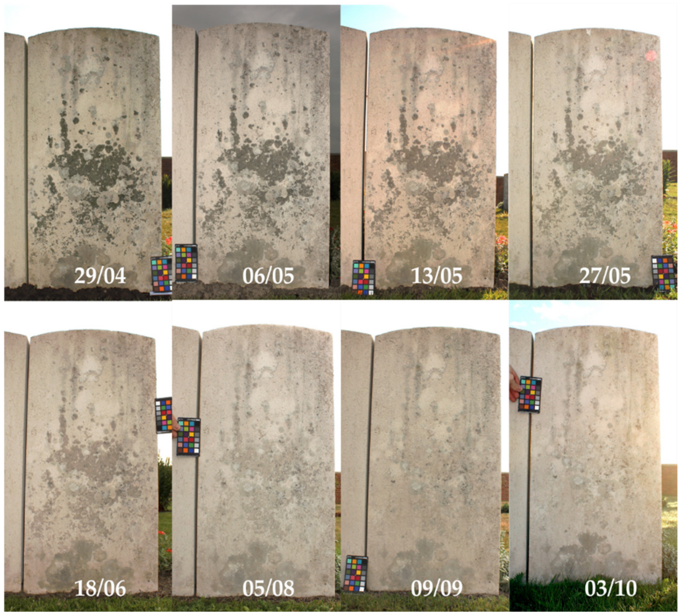 Coatings 12 00375 g008