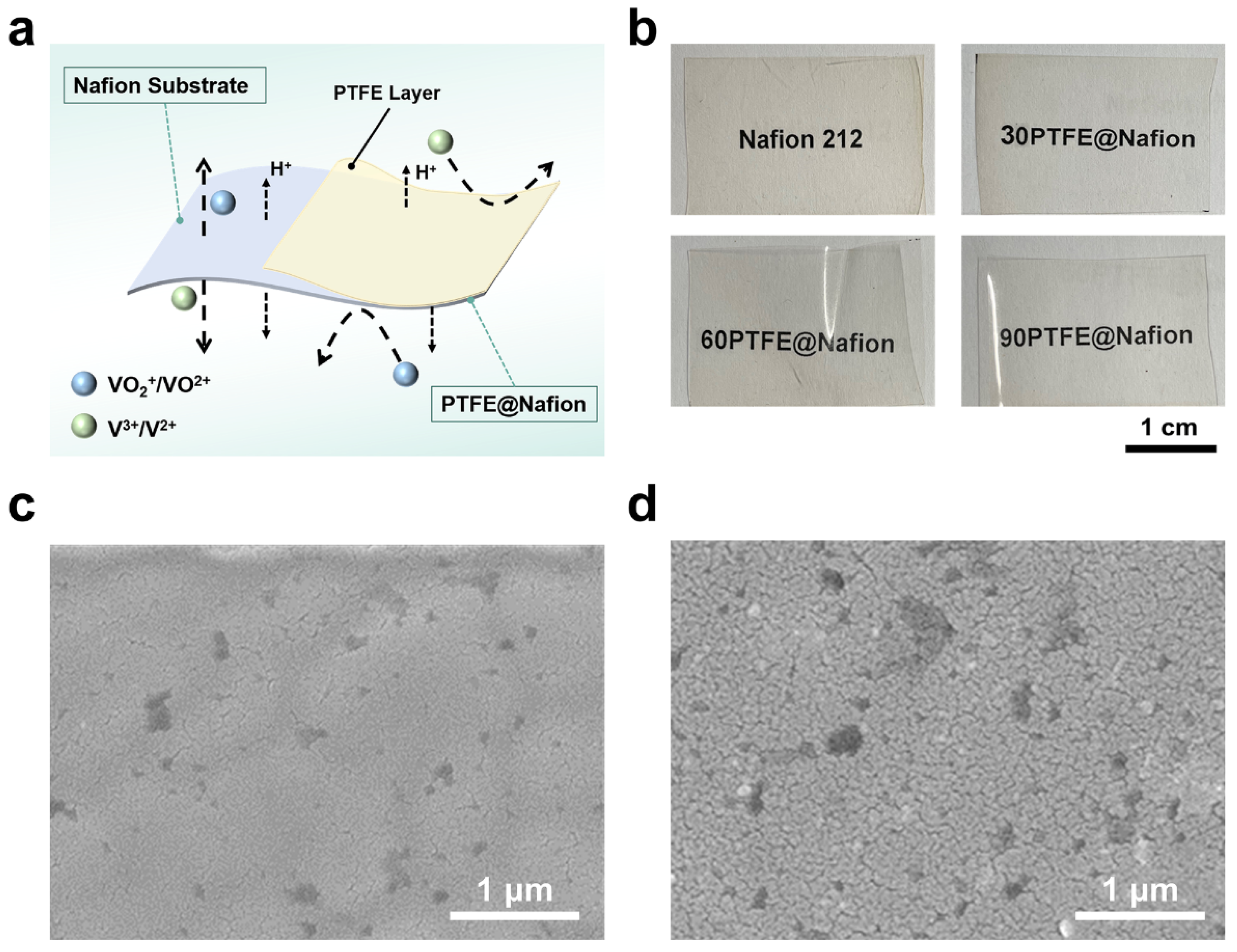 Coatings 12 00378 g002