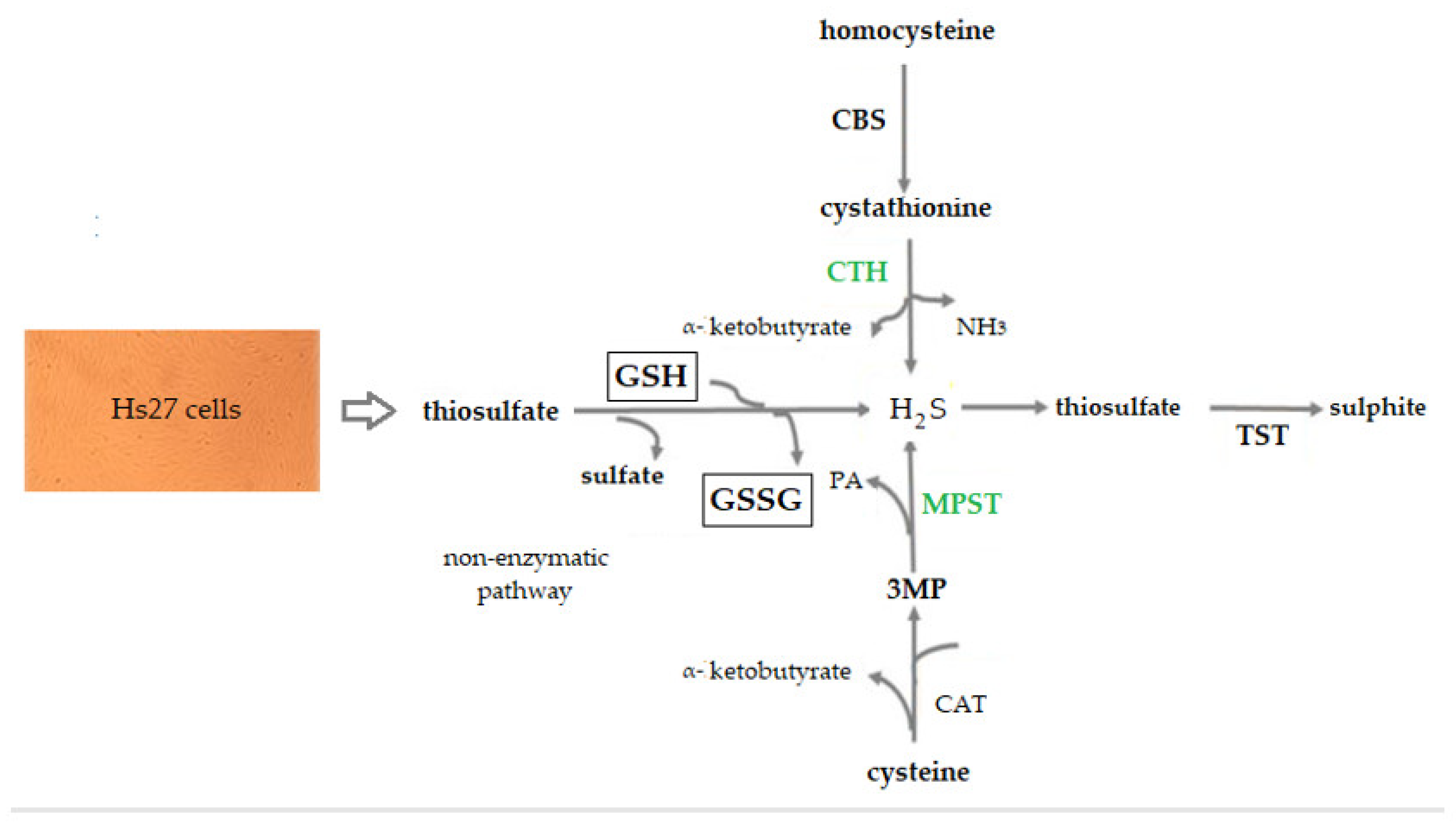 Coatings 12 00382 g001