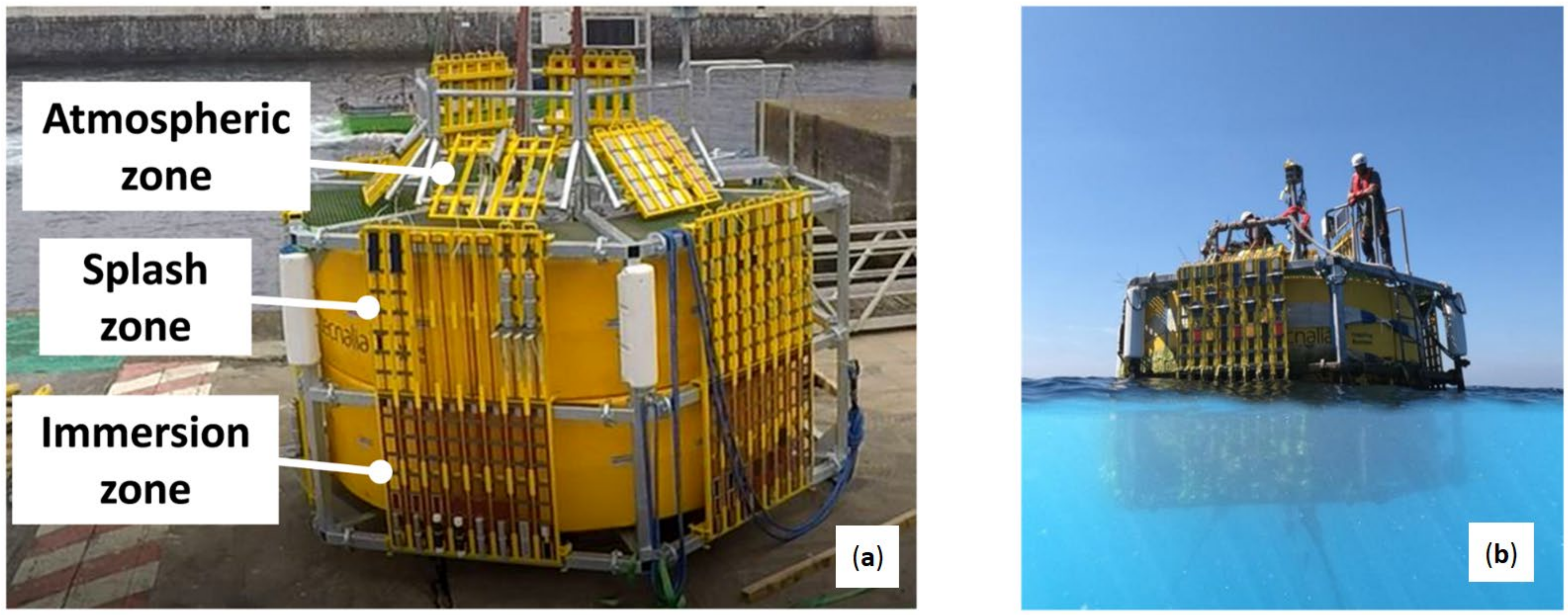 Coatings 12 00384 g002