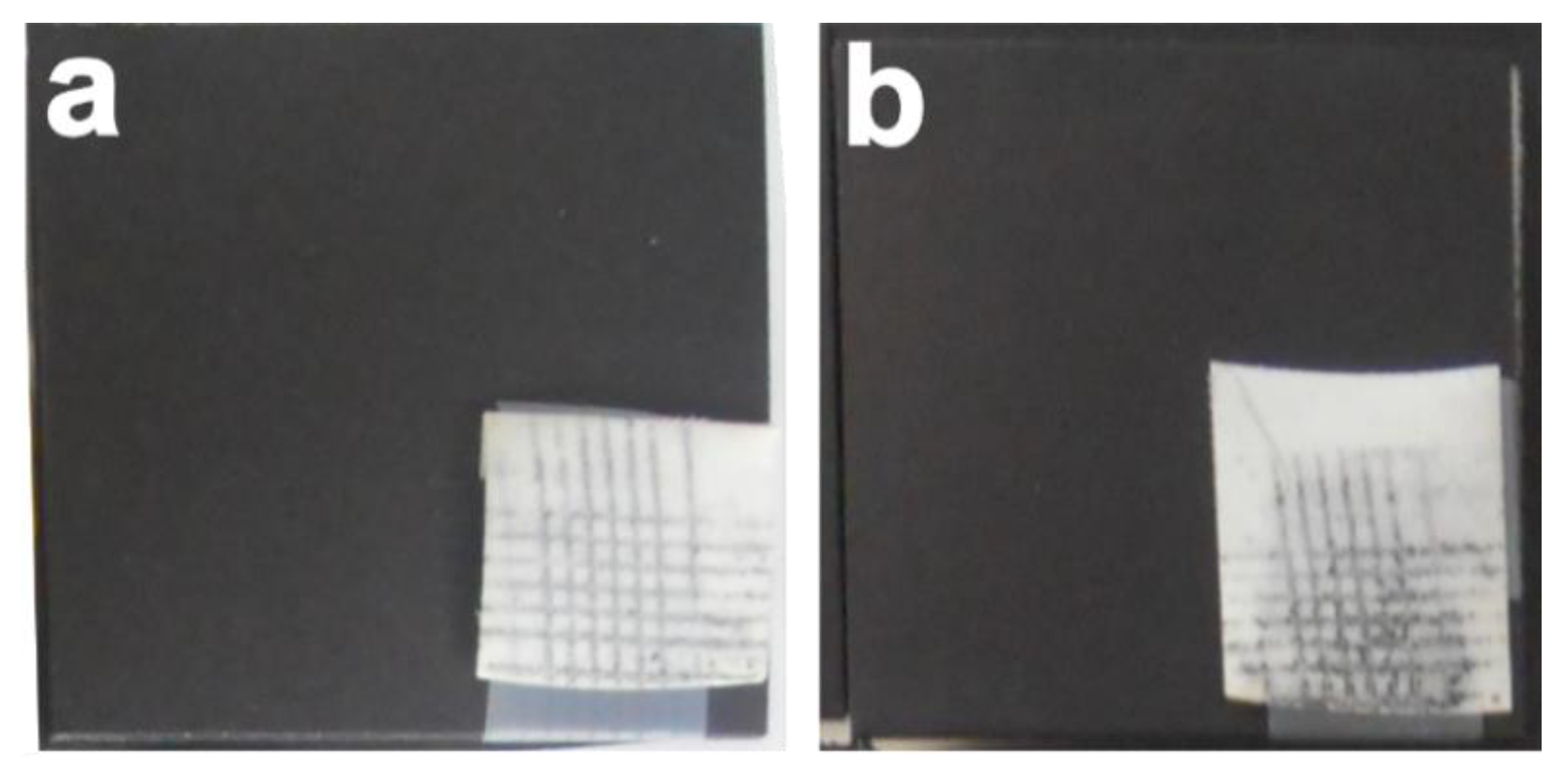 Coatings 12 00388 g011