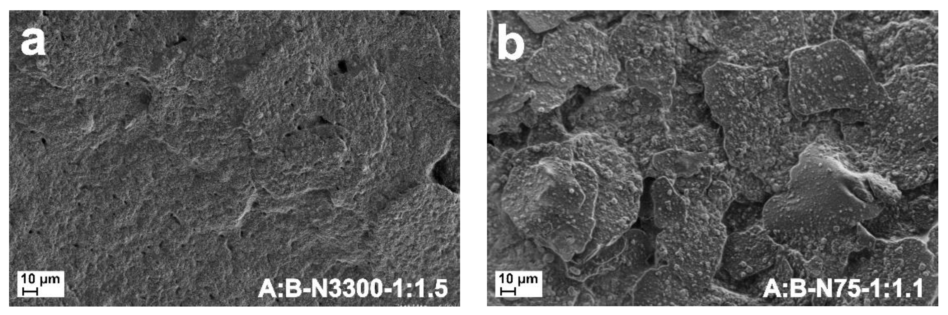 Coatings 12 00388 g012