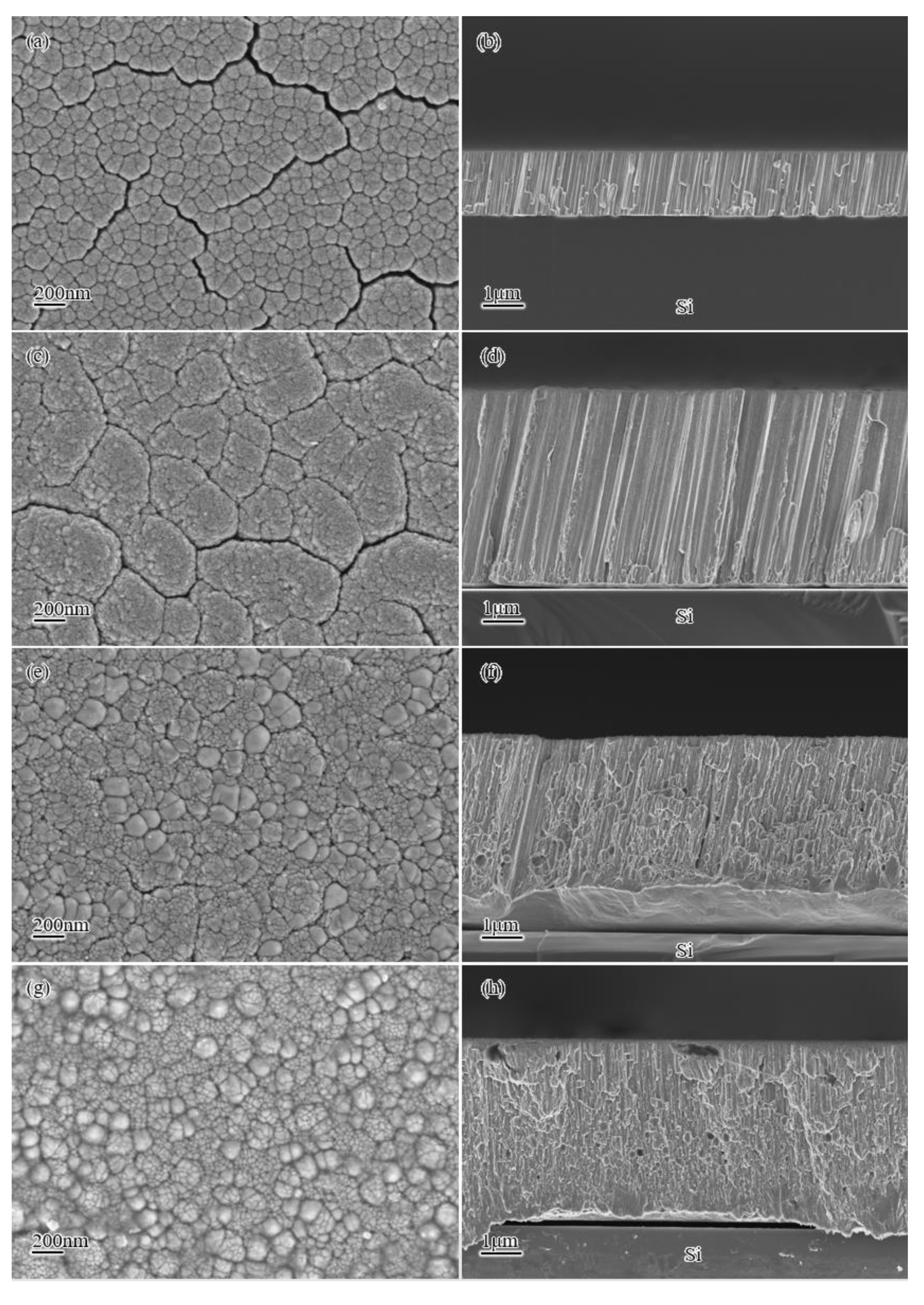 Coatings 12 00394 g007