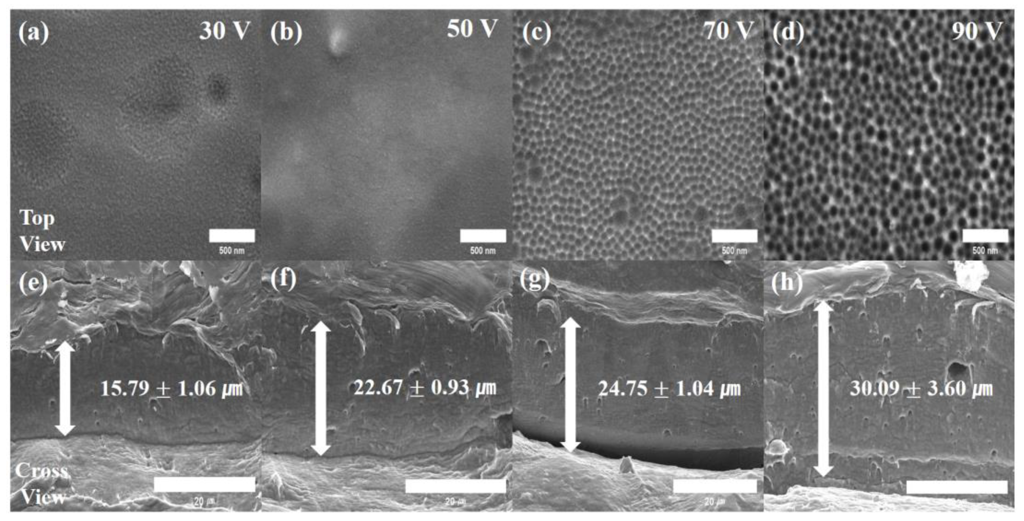 Coatings 12 00395 g003 Coatings 12 00395 g003