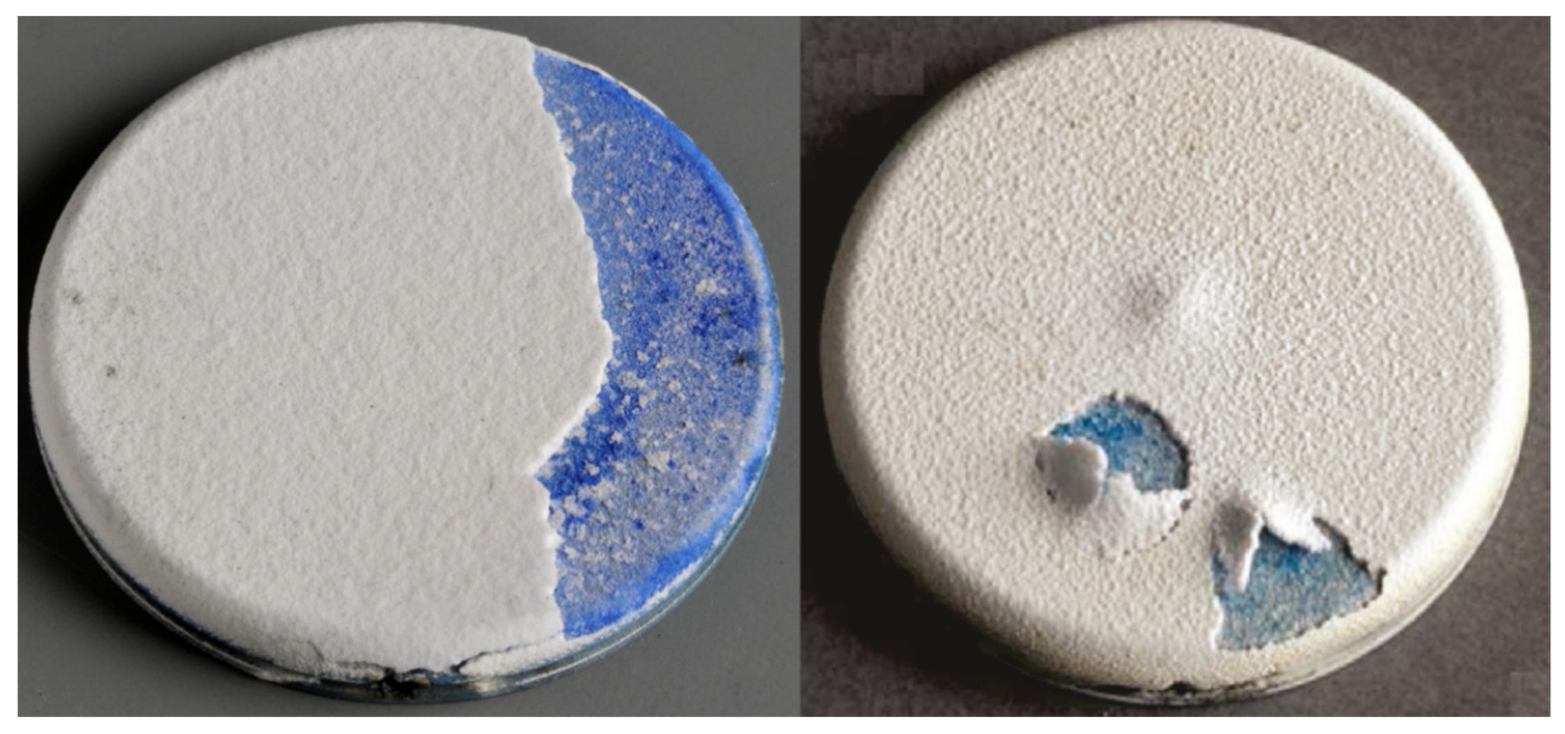 Coatings 12 00396 g001