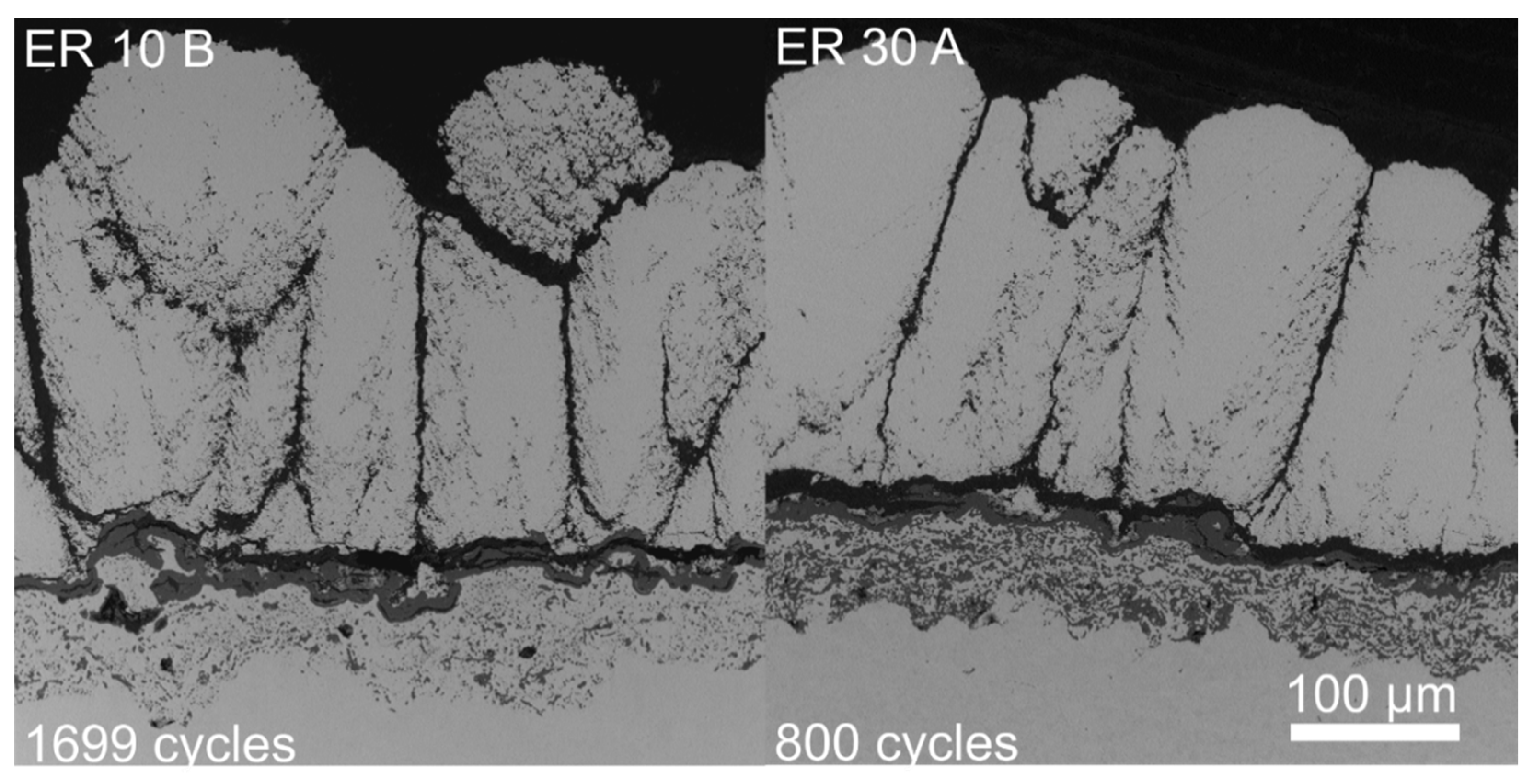 Coatings 12 00396 g003