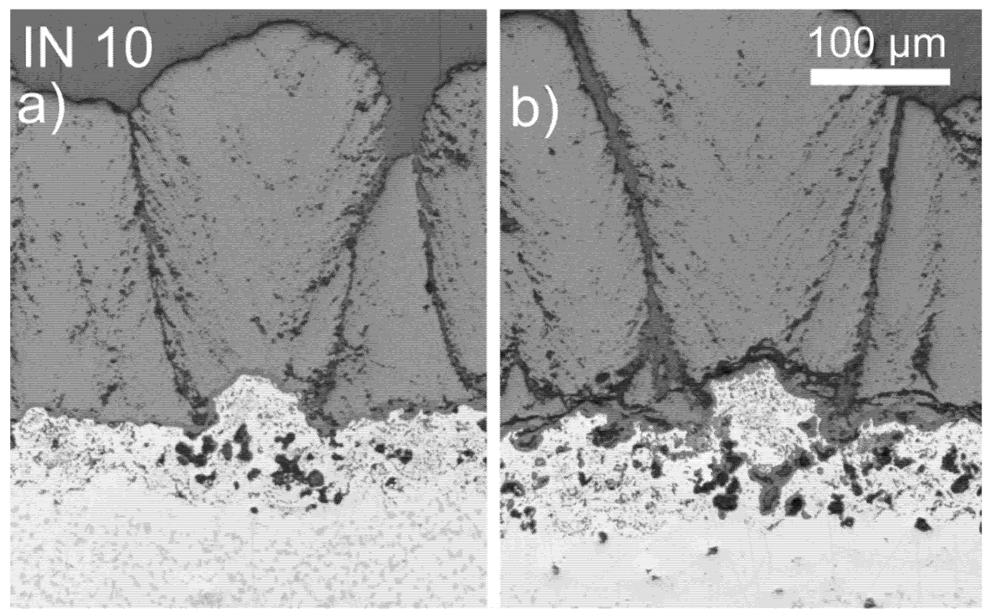 Coatings 12 00396 g005
