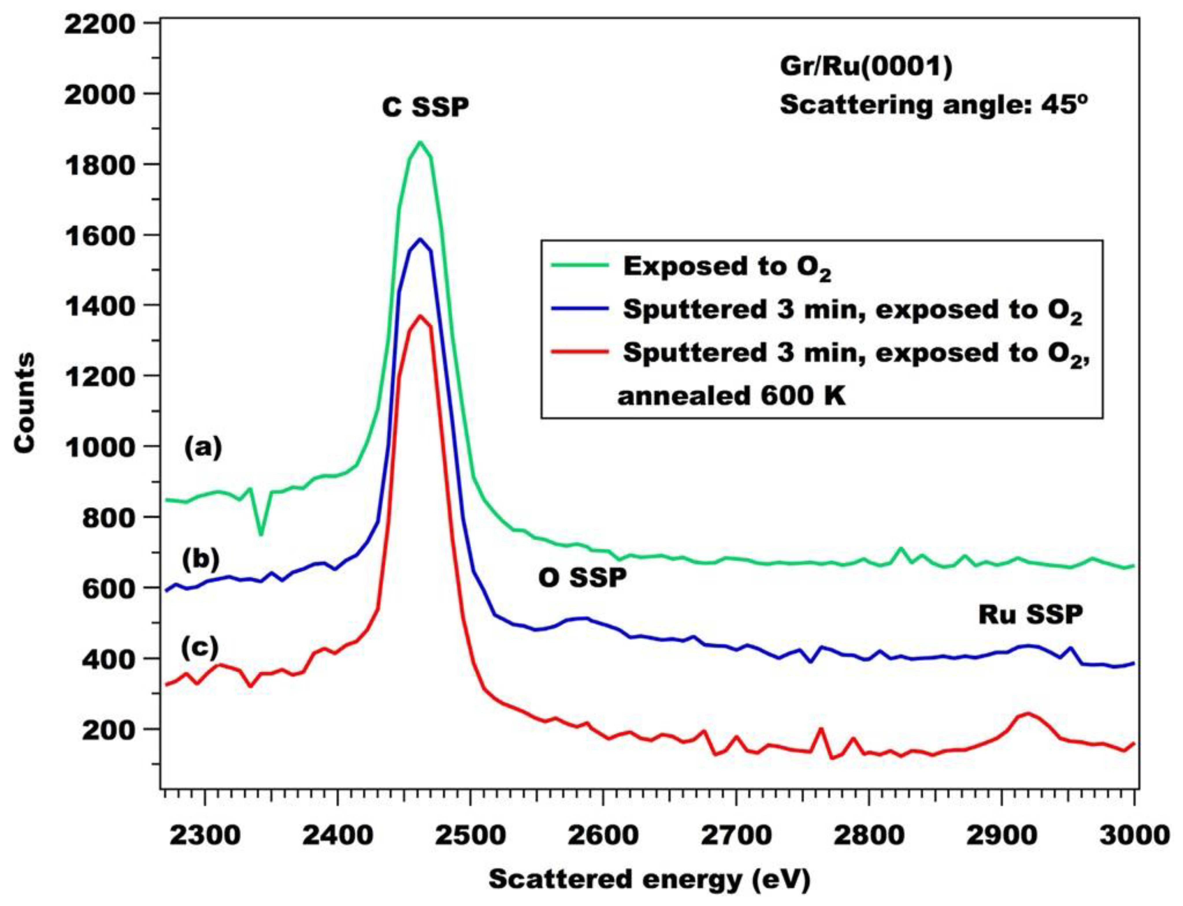 Coatings 12 00397 g006