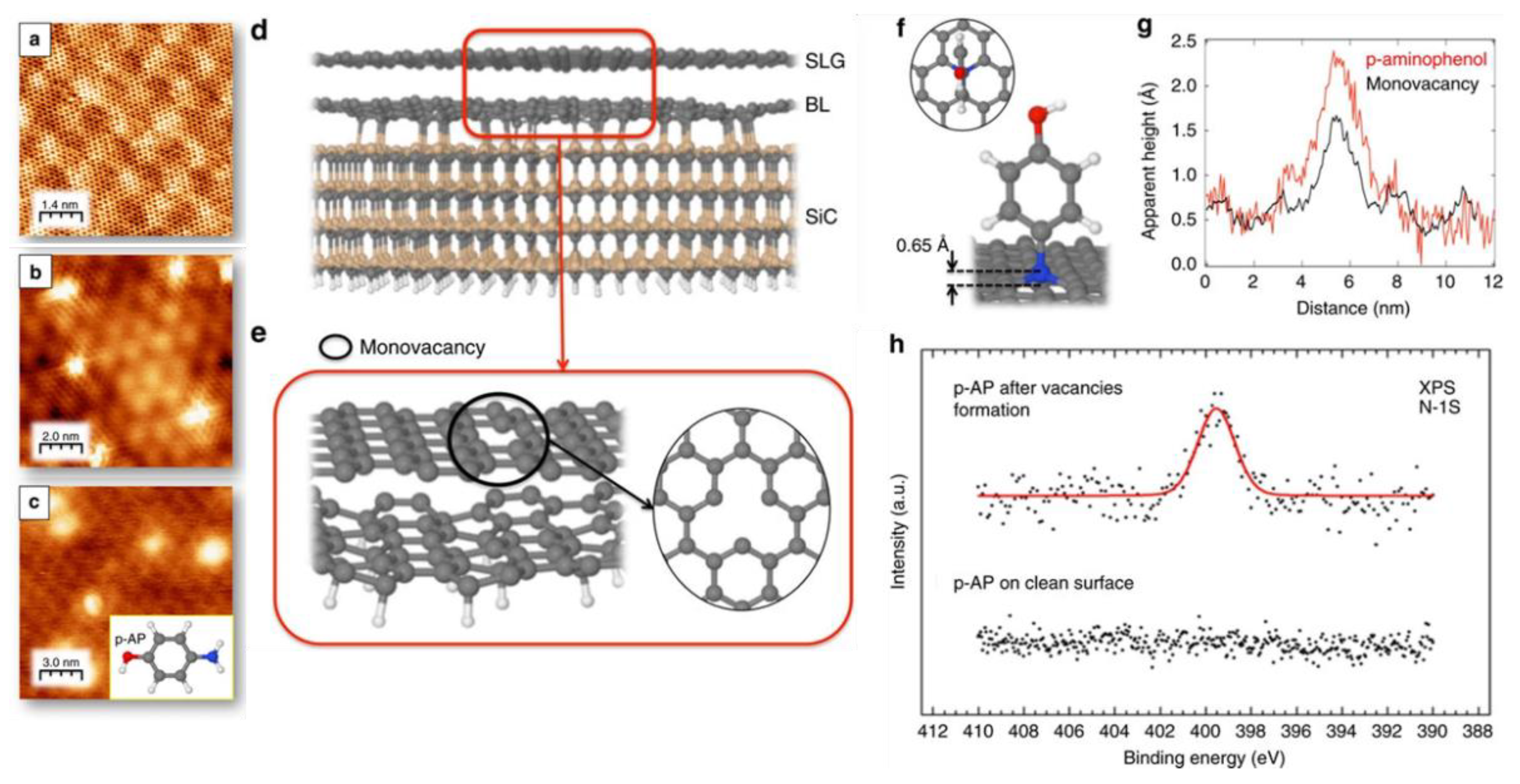 Coatings 12 00397 g008