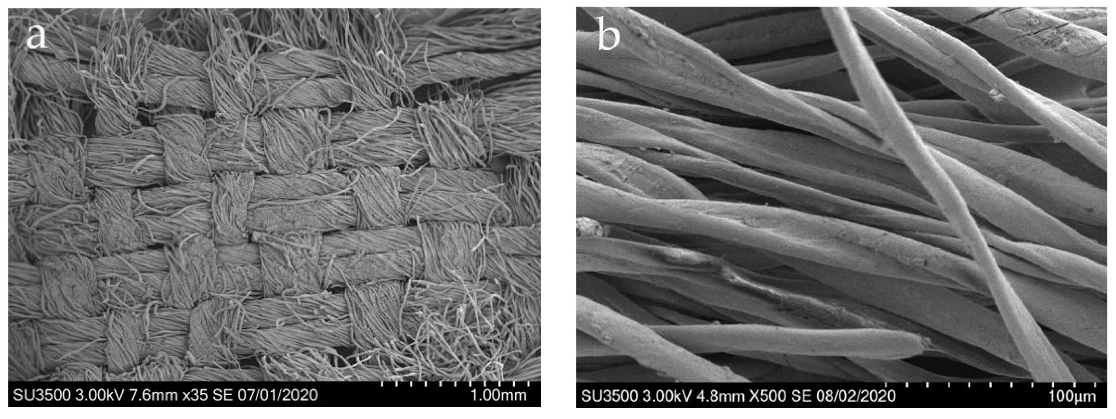 Coatings 12 00410 g003