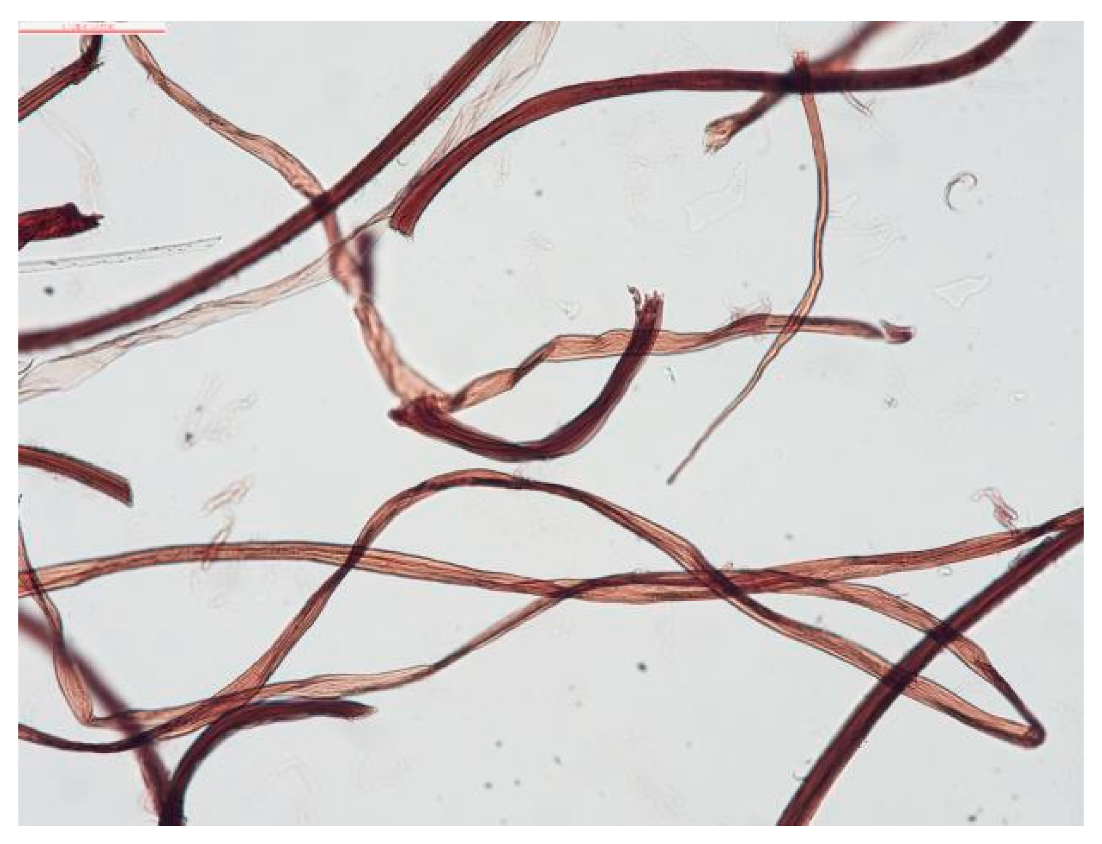 Coatings 12 00410 g005