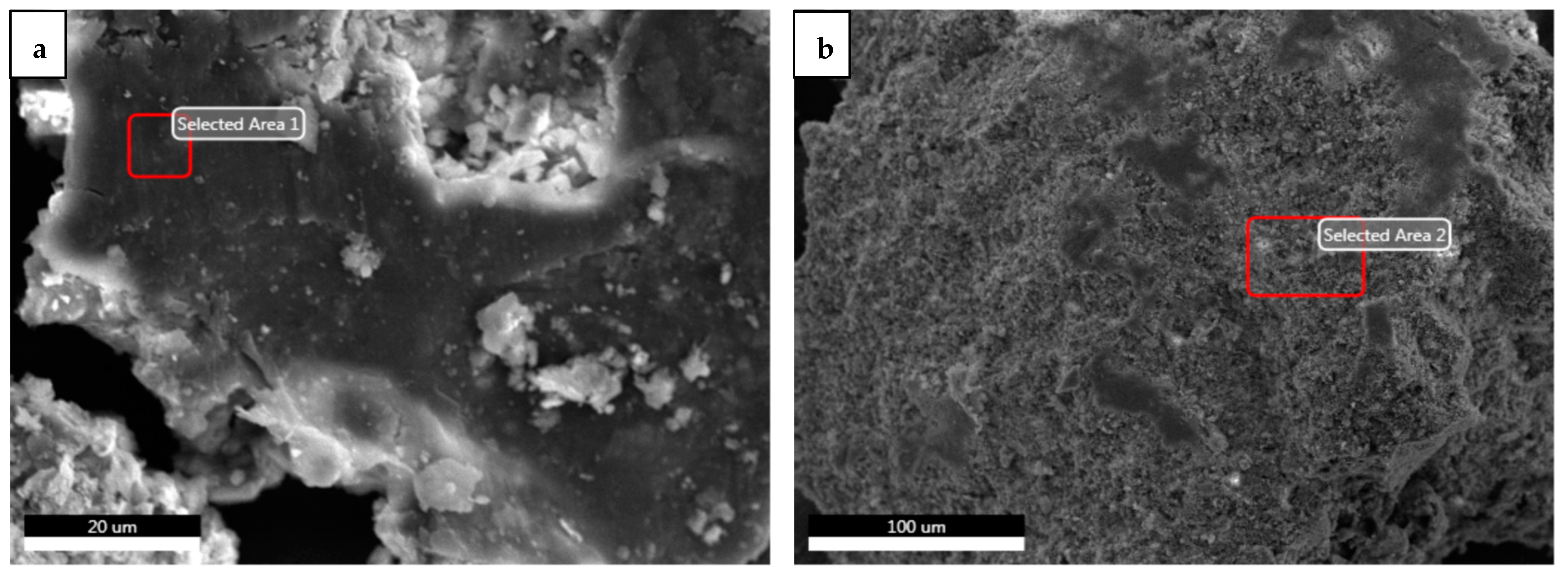 Coatings 12 00410 g006a