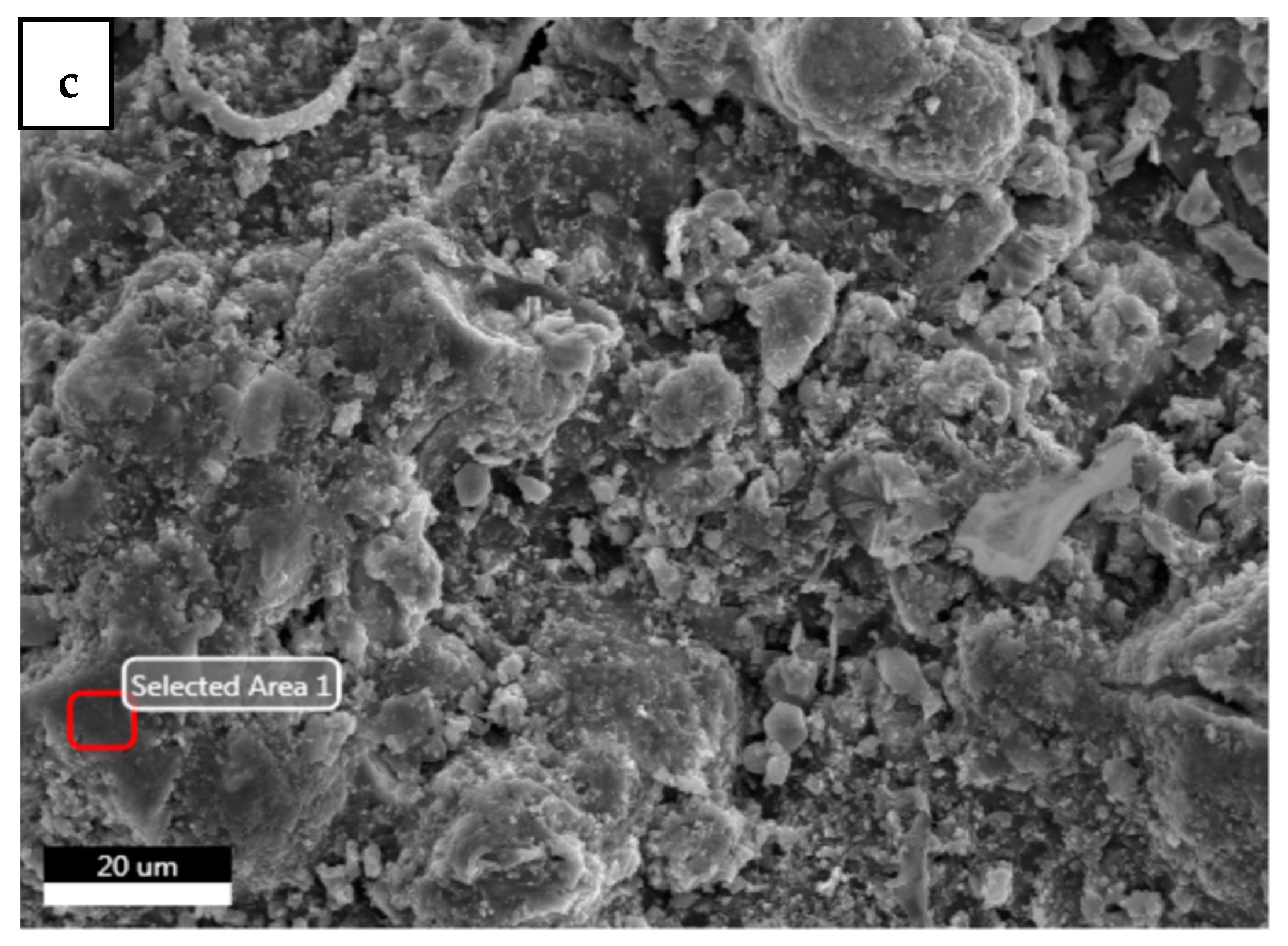 Coatings 12 00410 g006b