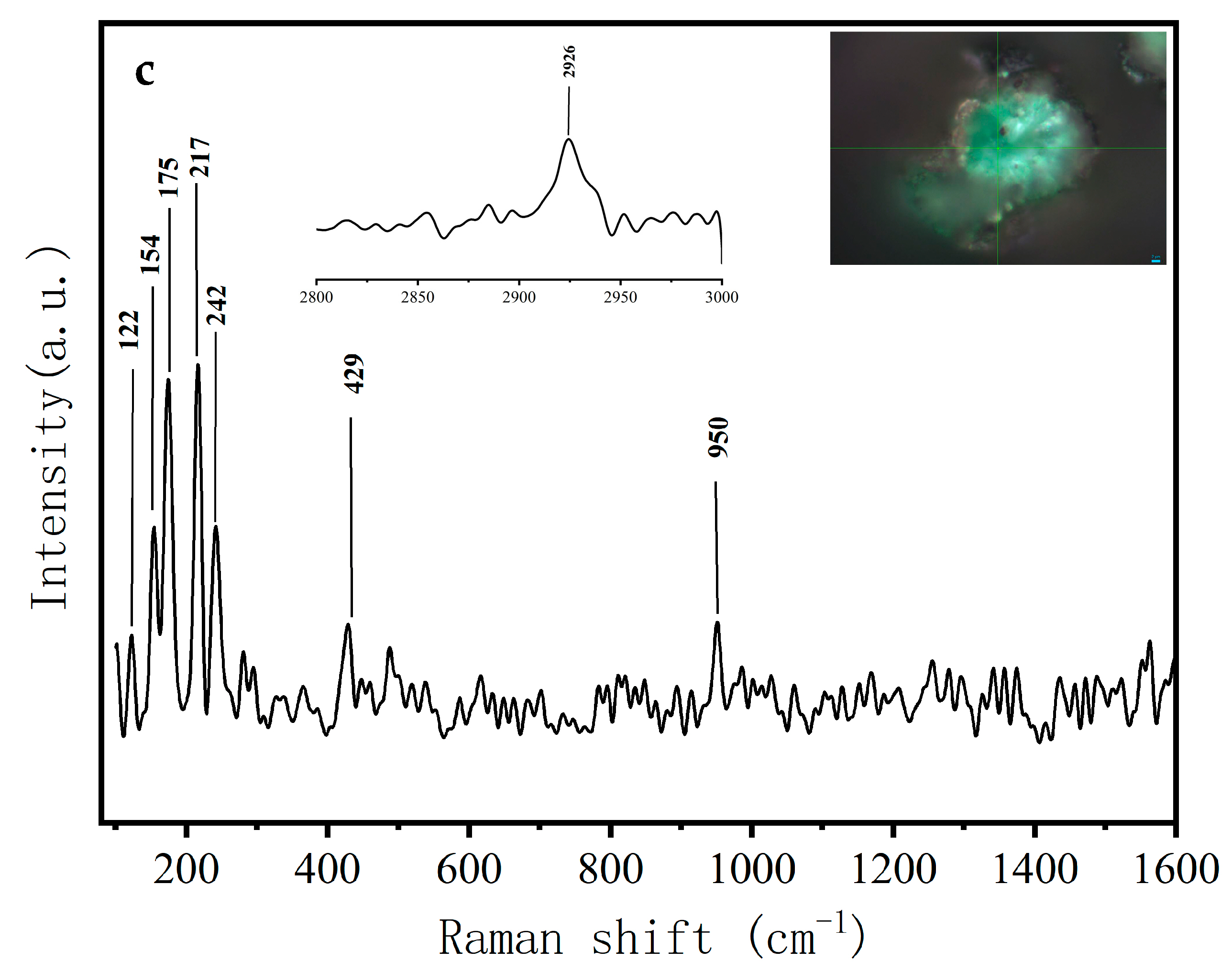 Coatings 12 00410 g007b