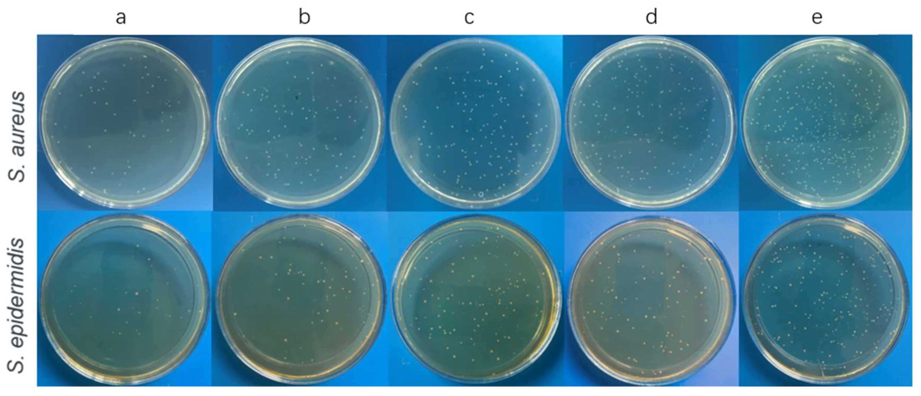 Coatings 12 00414 g004