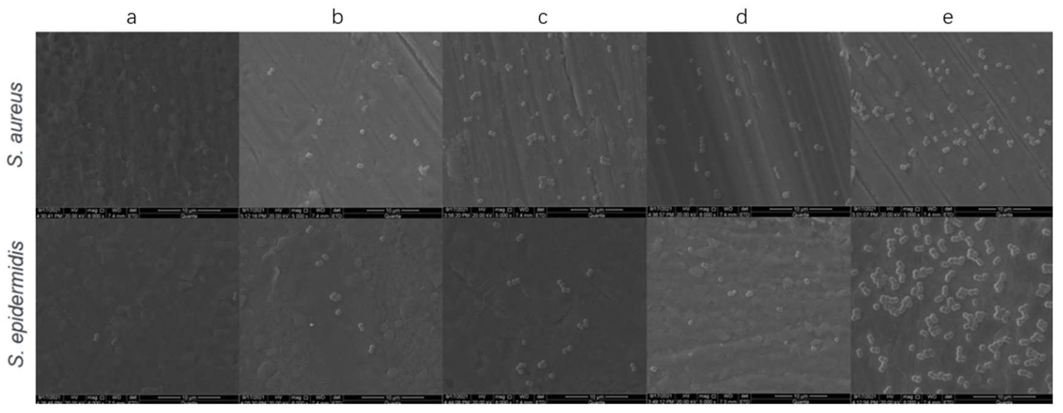 Coatings 12 00414 g007