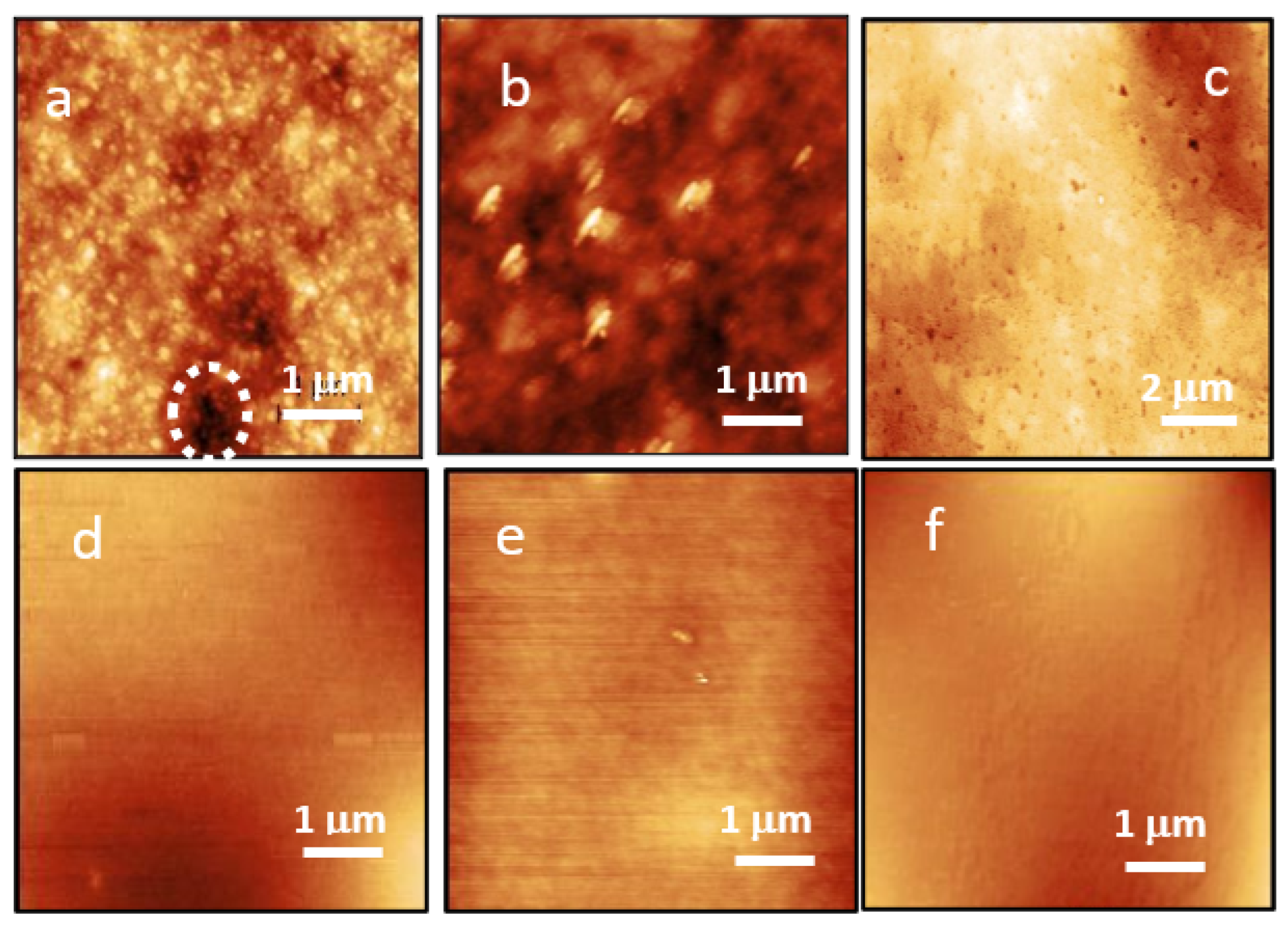 Coatings 12 00417 g003