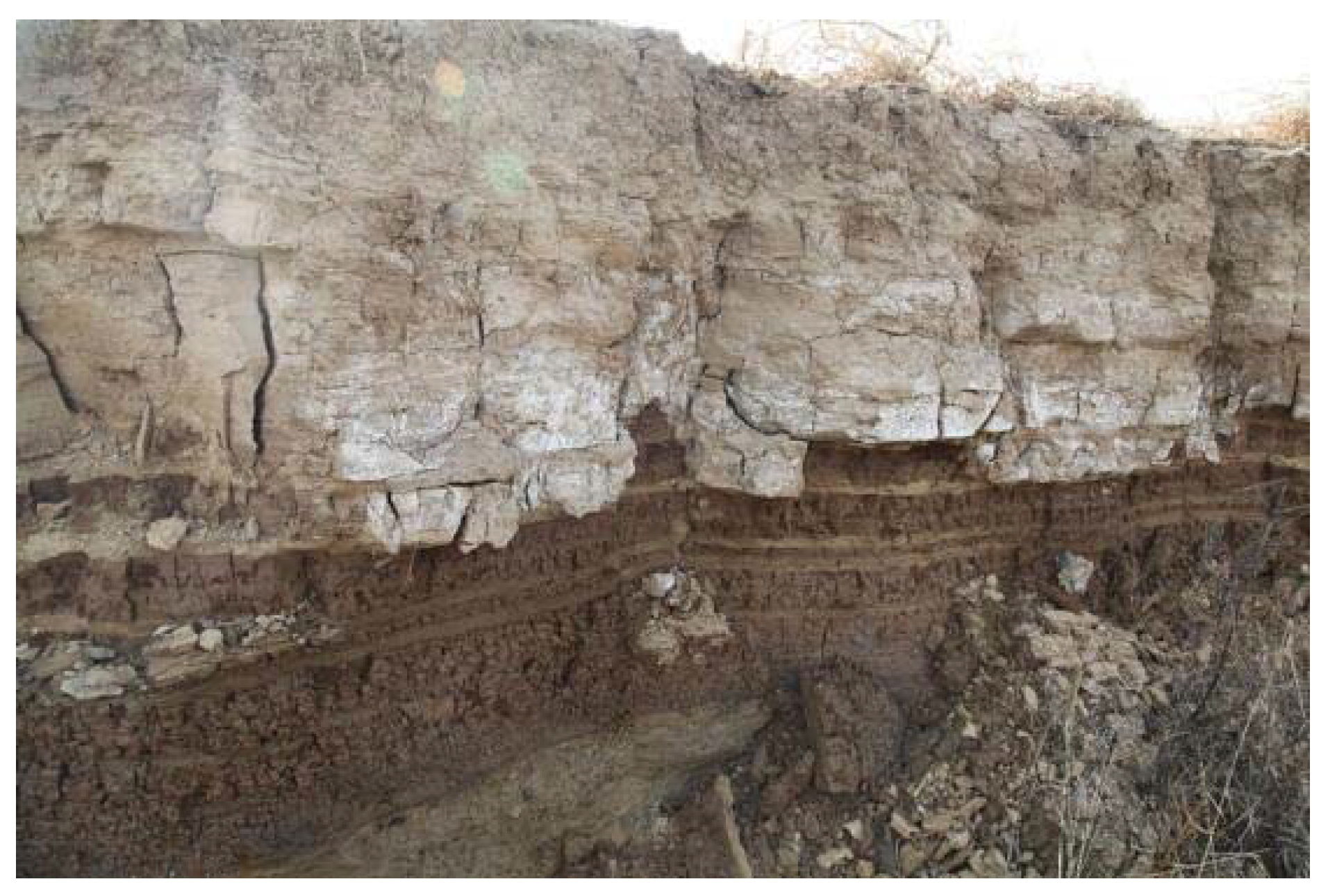 Coatings 12 00418 g001