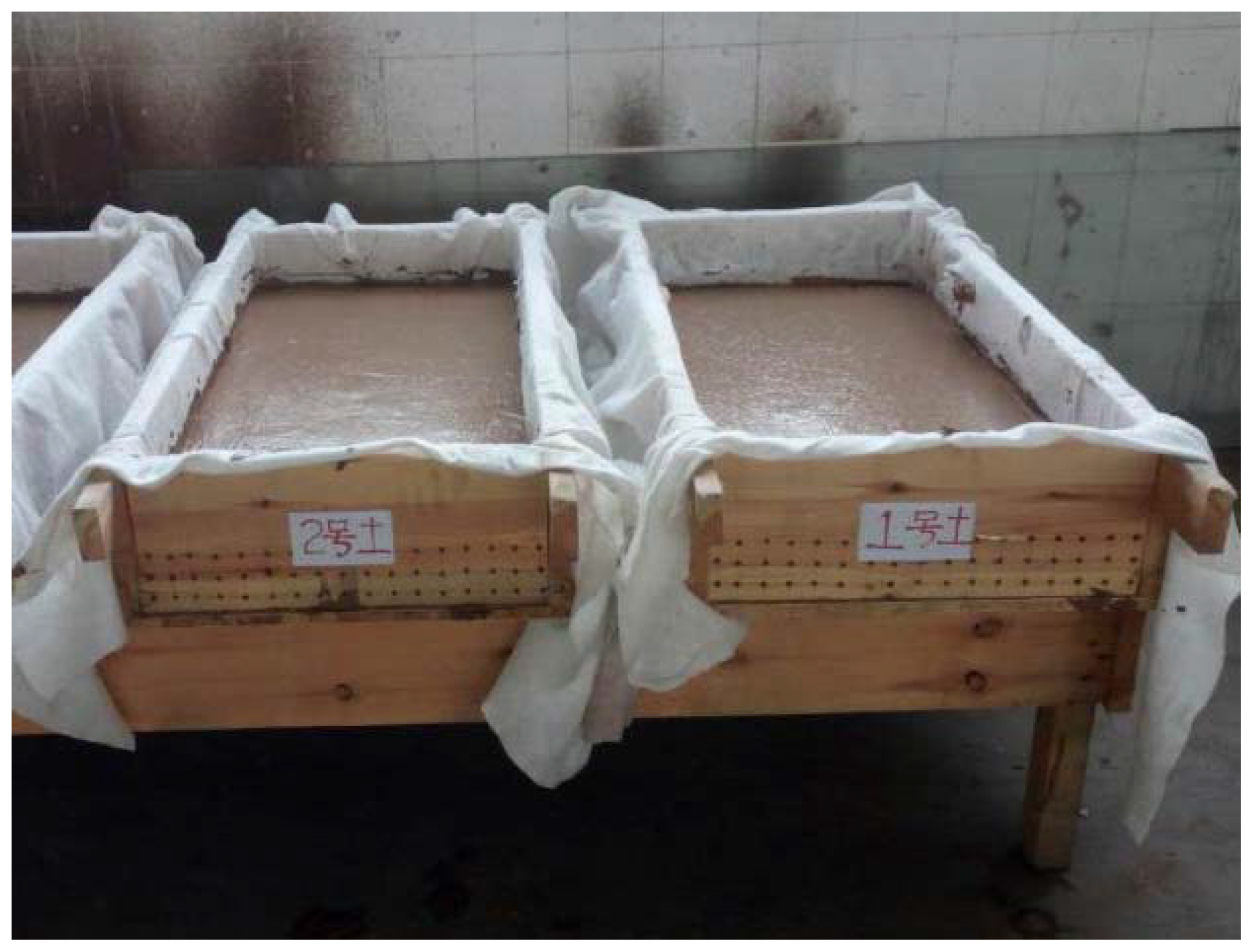 Coatings 12 00418 g006