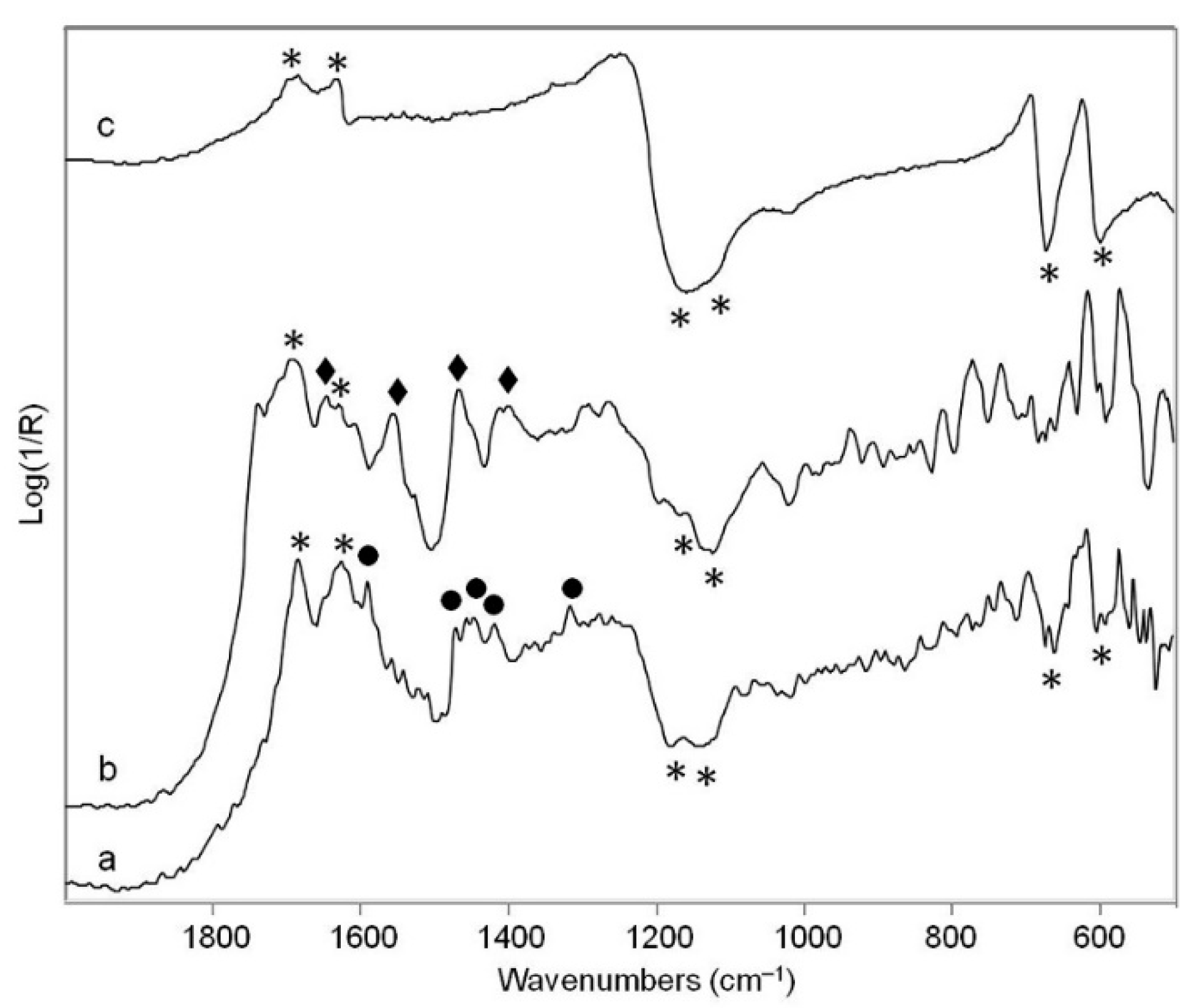Coatings 12 00426 g004