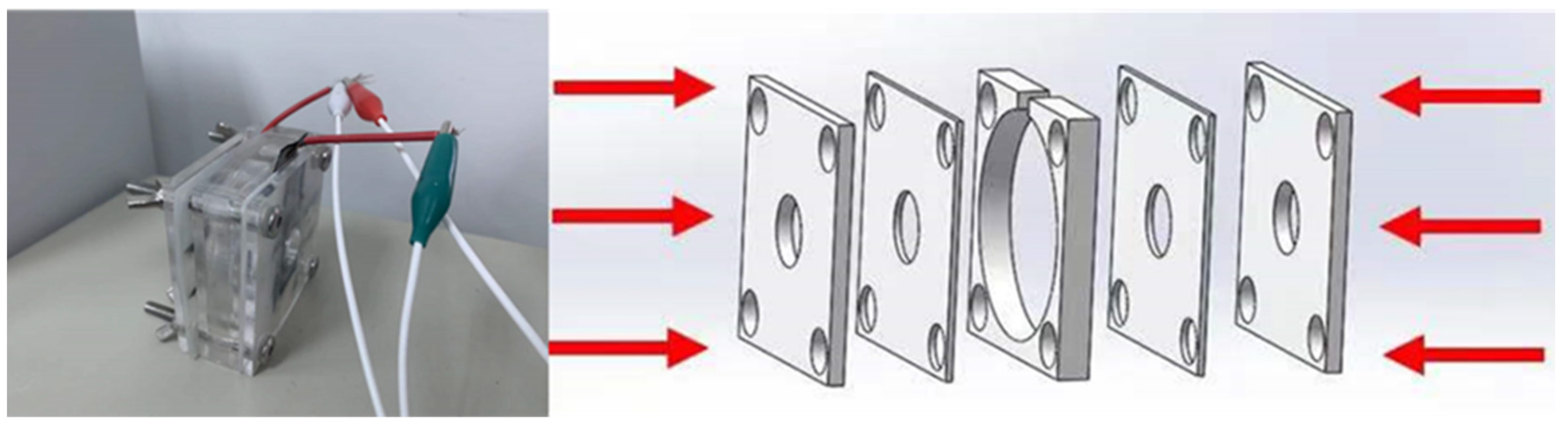 Coatings 12 00428 g001