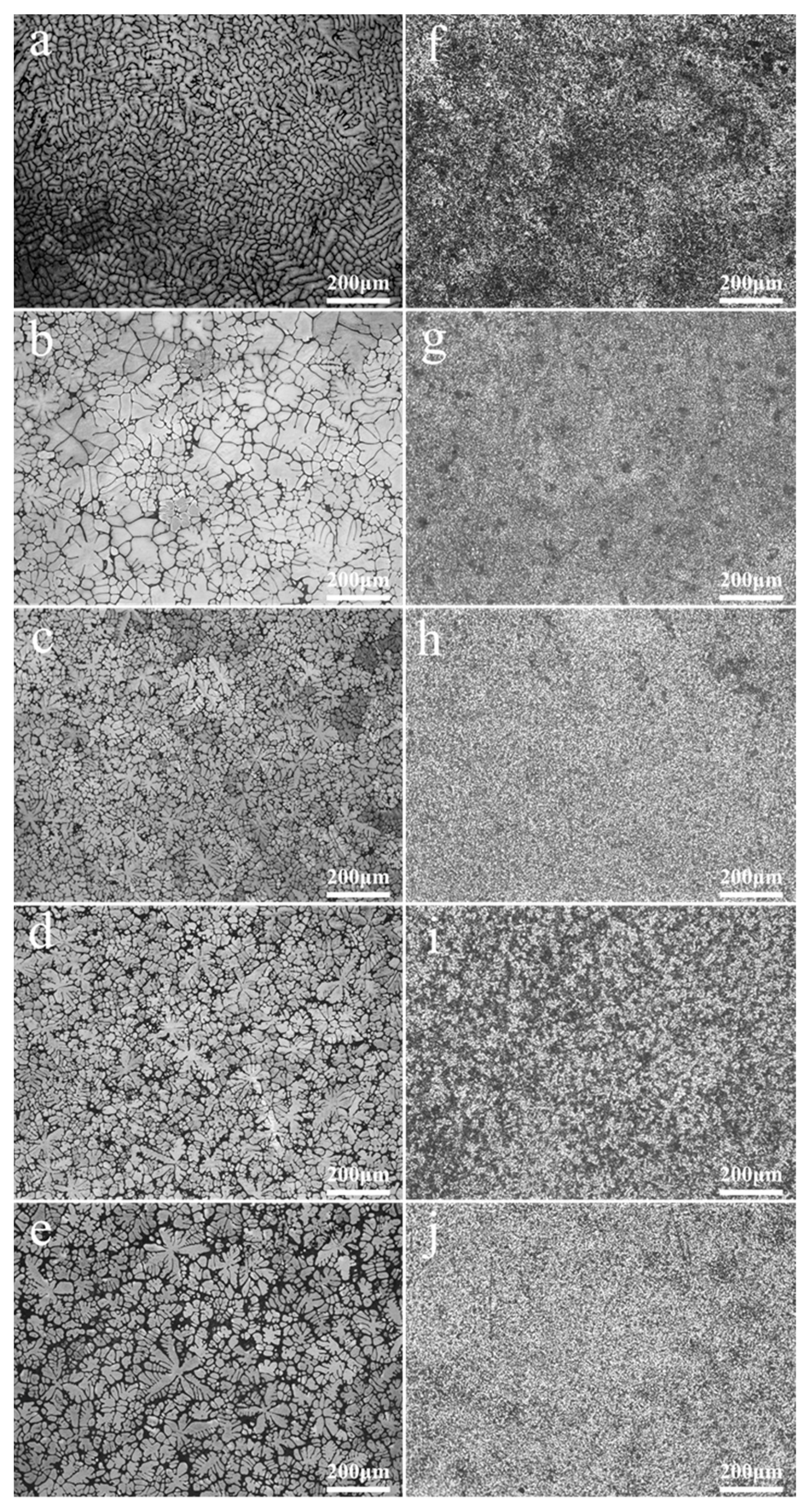 Coatings 12 00428 g002