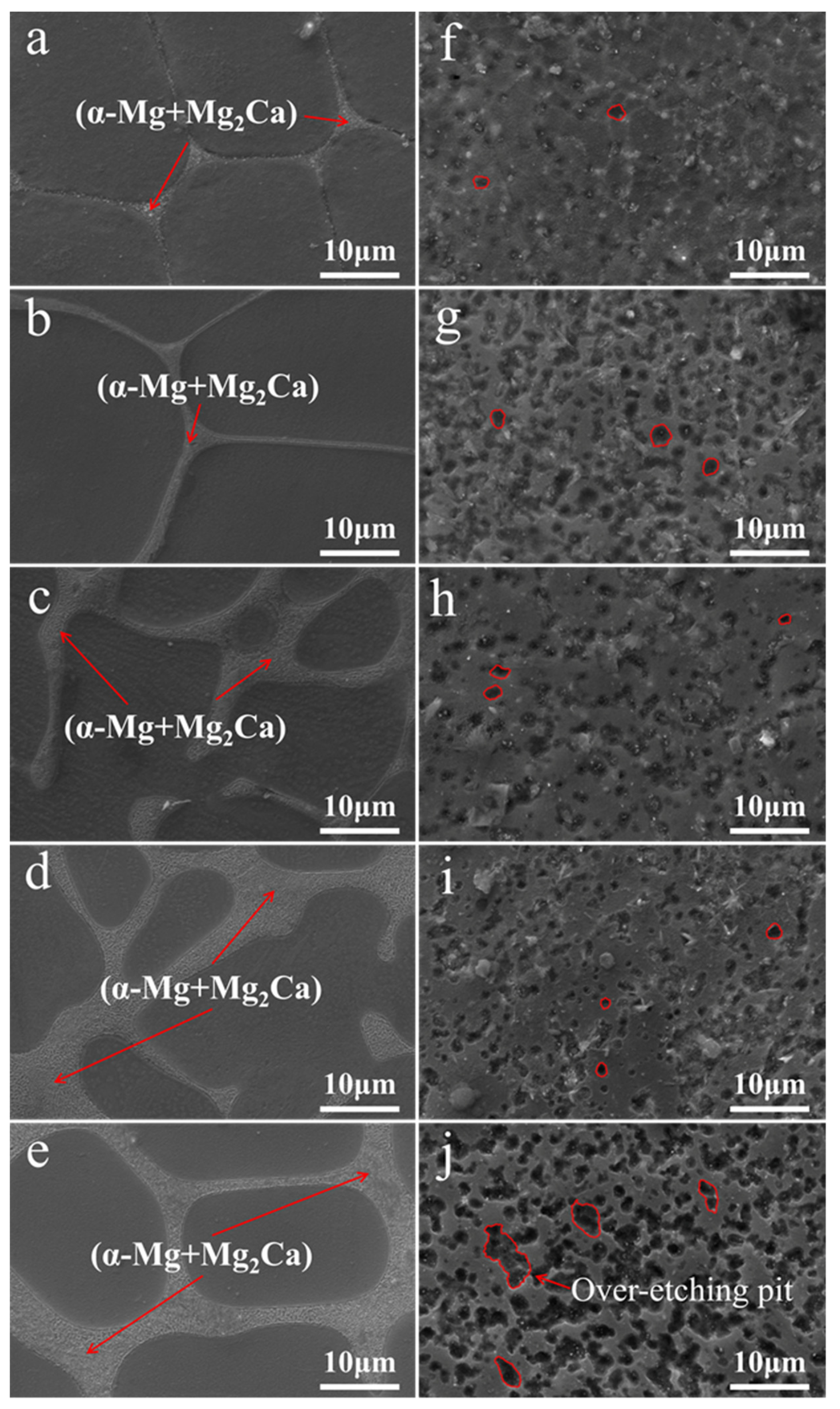 Coatings 12 00428 g003