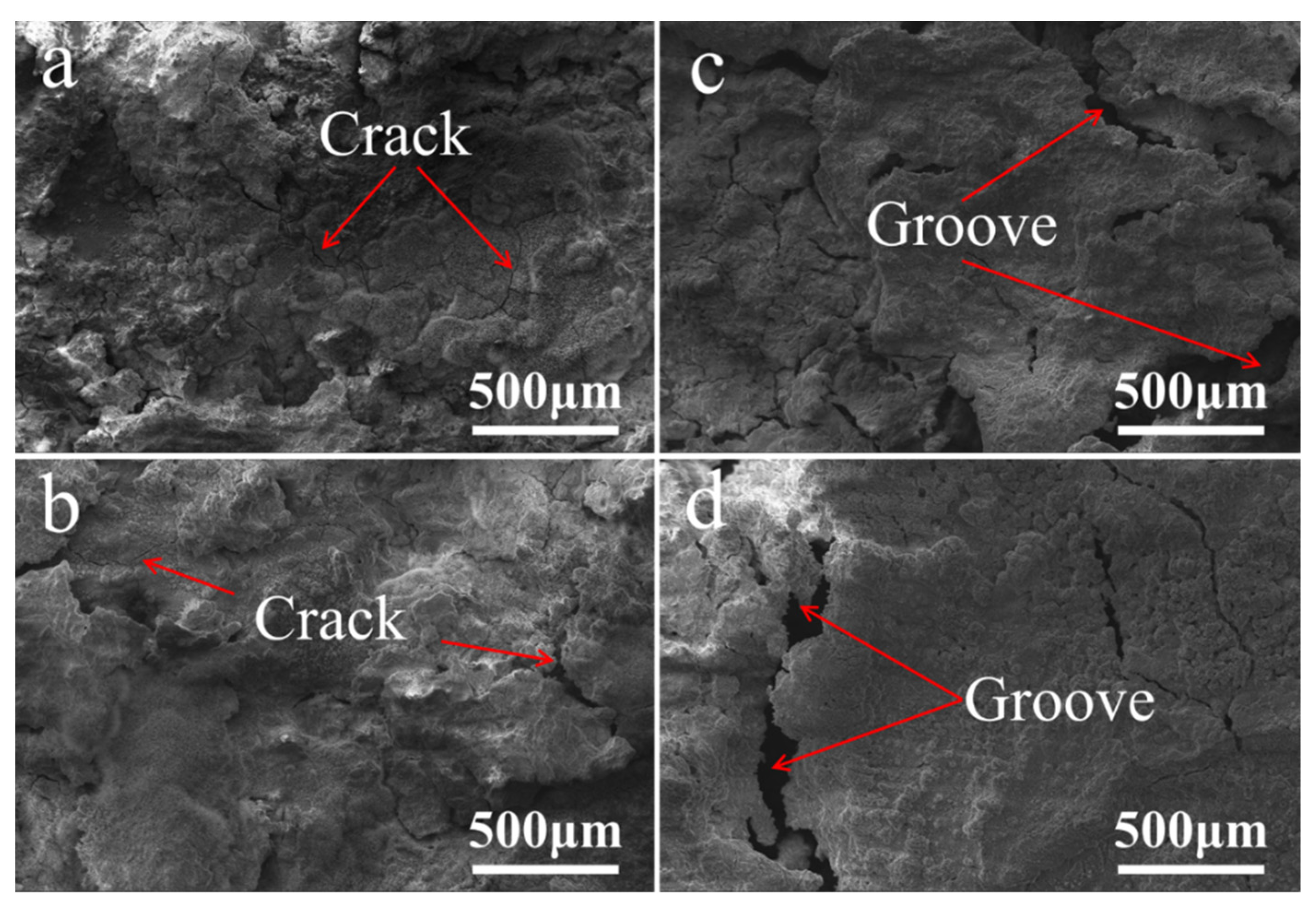 Coatings 12 00428 g005