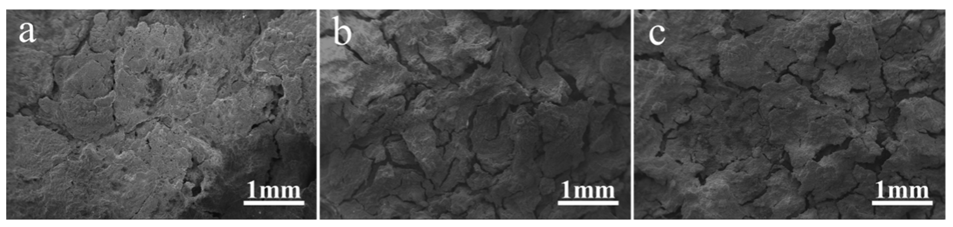 Coatings 12 00428 g007