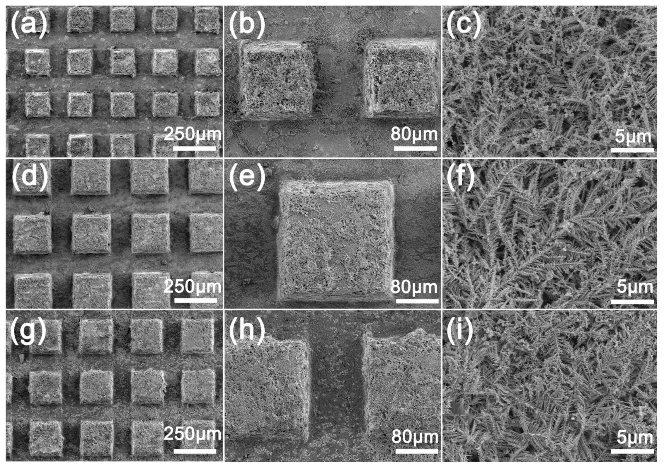 Coatings 12 00442 g003