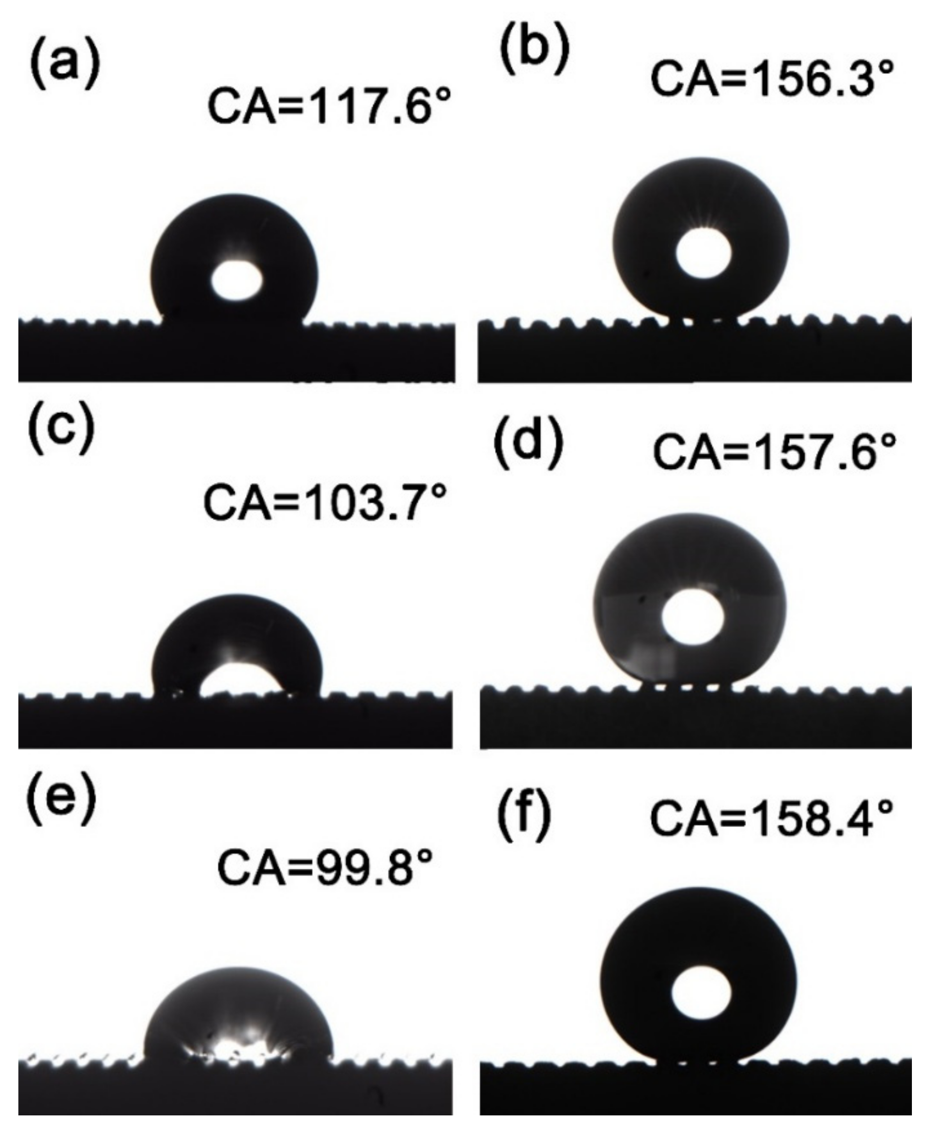 Coatings 12 00442 g004