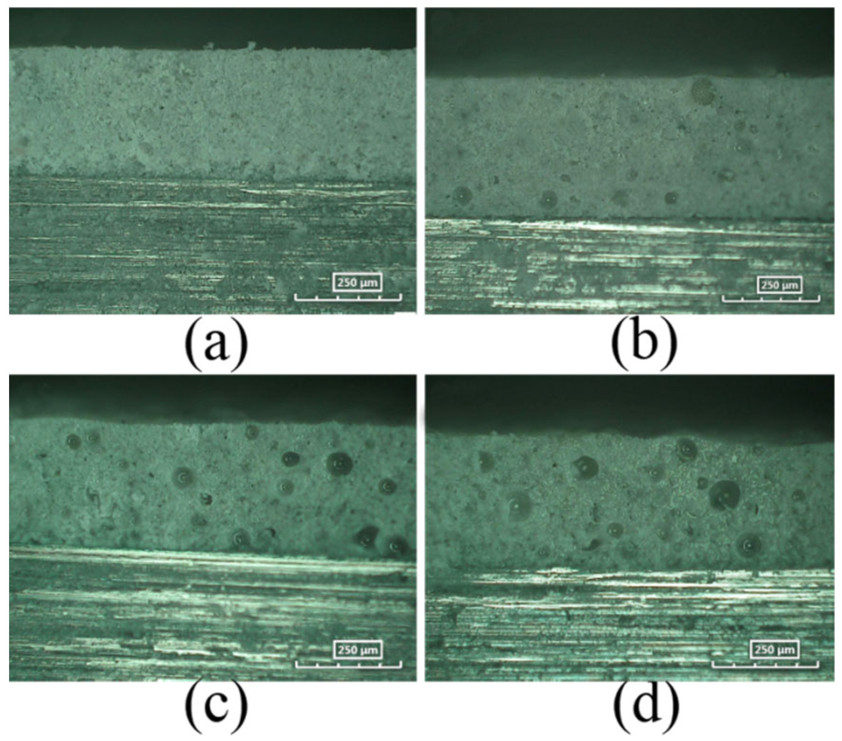 Coatings 12 00447 g008