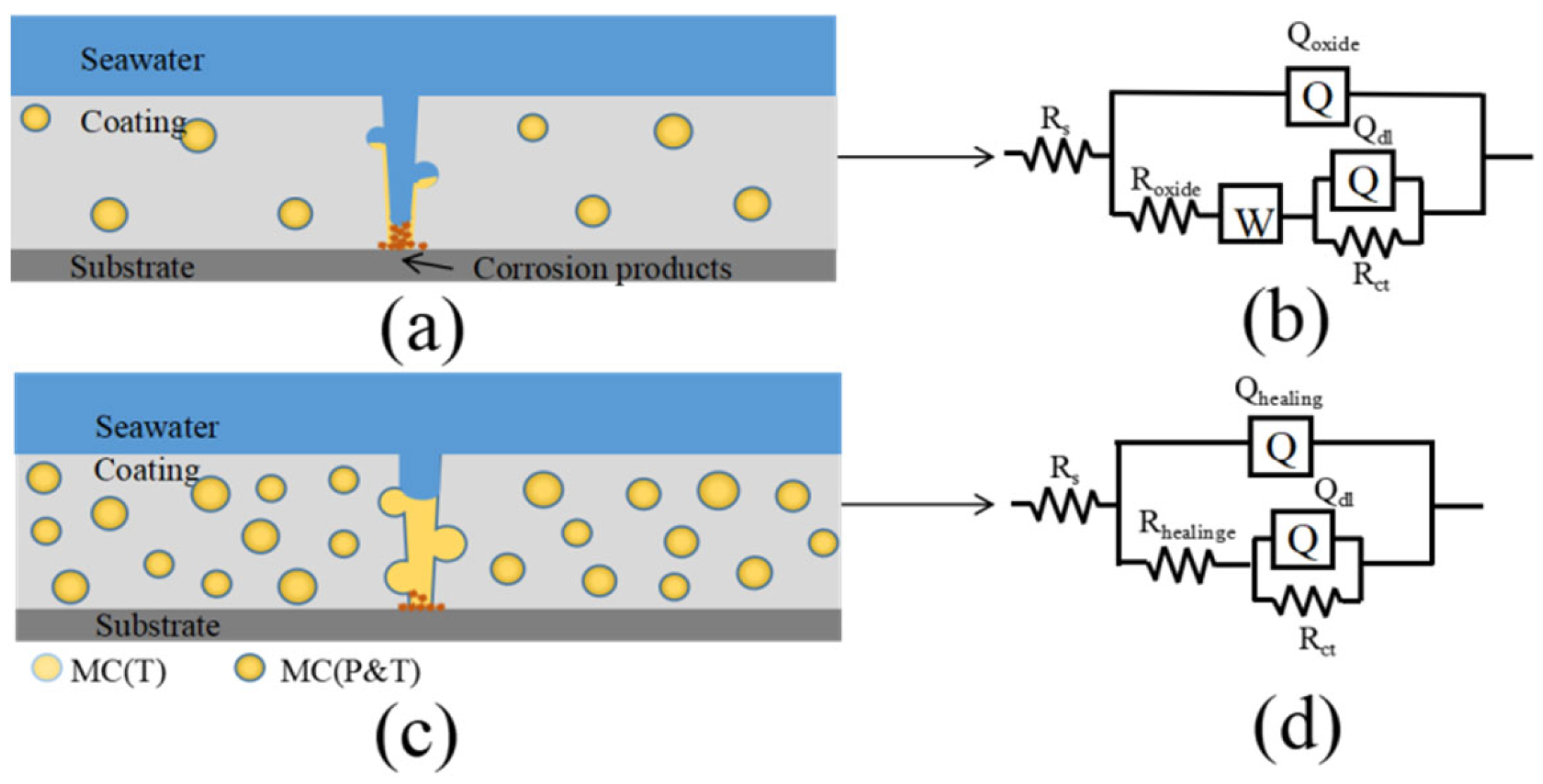 Coatings 12 00447 g012