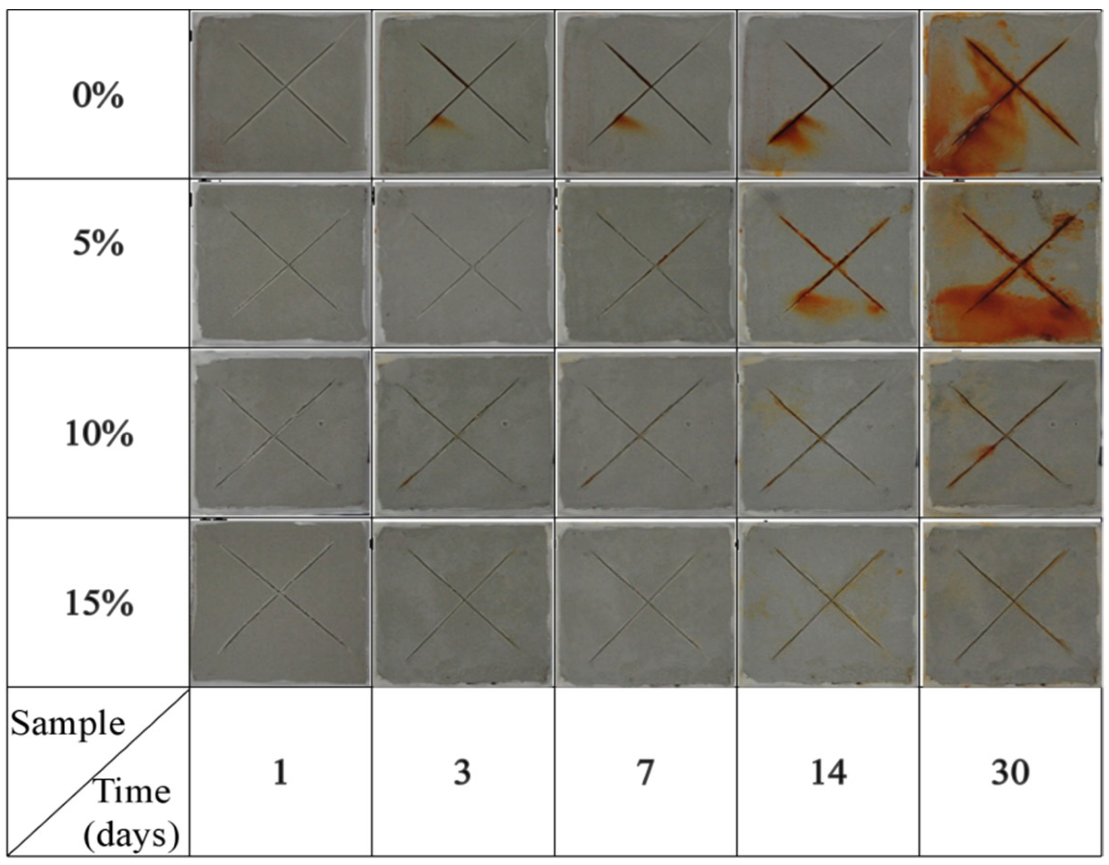 Coatings 12 00447 g013