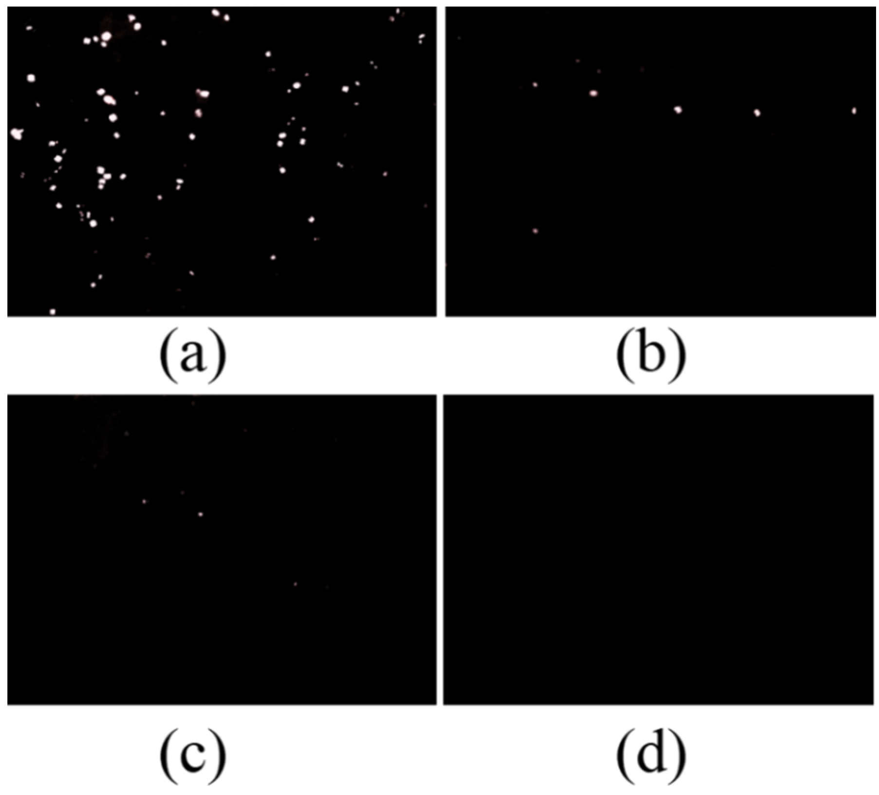 Coatings 12 00447 g014