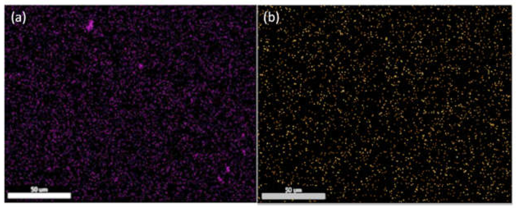 Coatings 12 00449 g003 Coatings 12 00449 g003