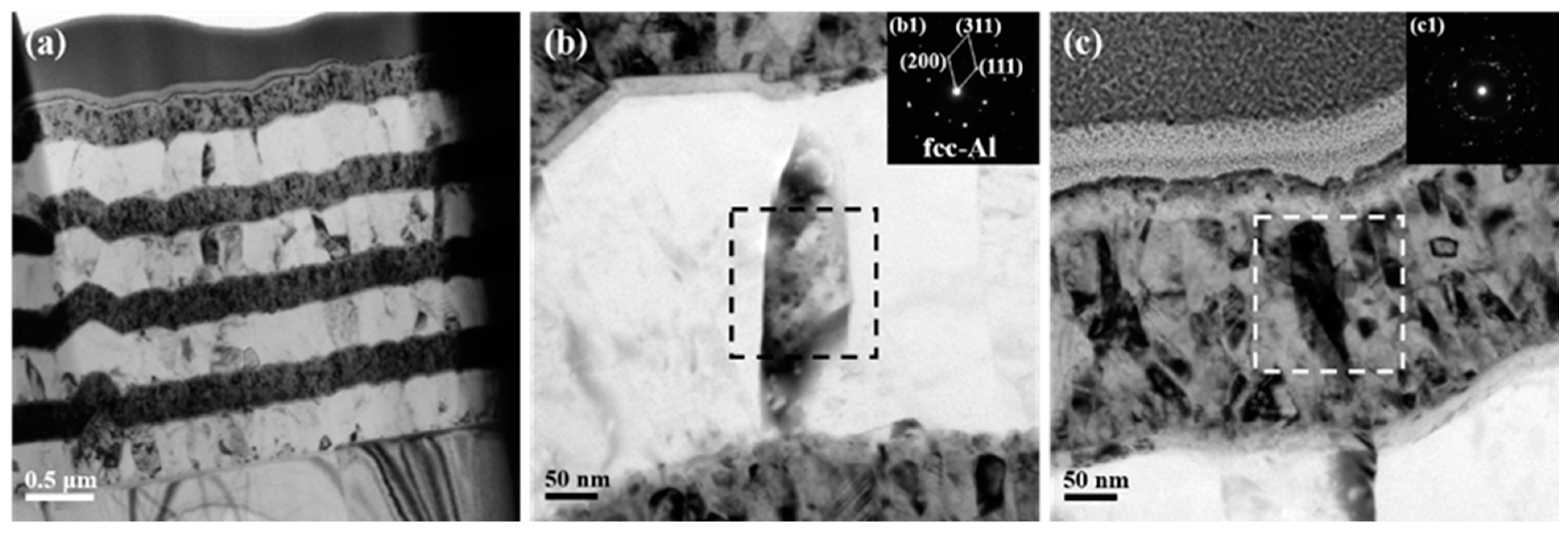 Coatings 12 00453 g002