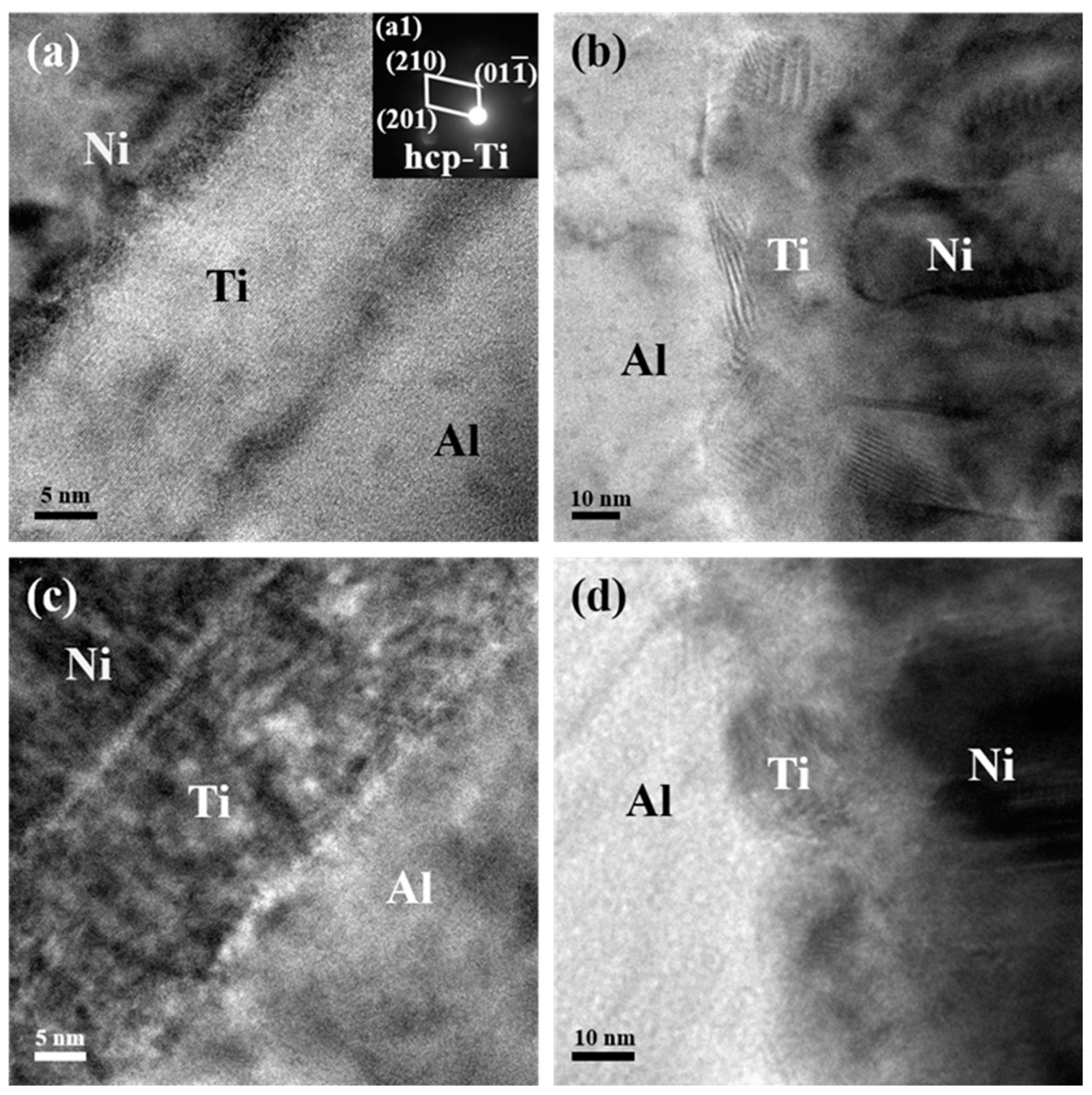 Coatings 12 00453 g003