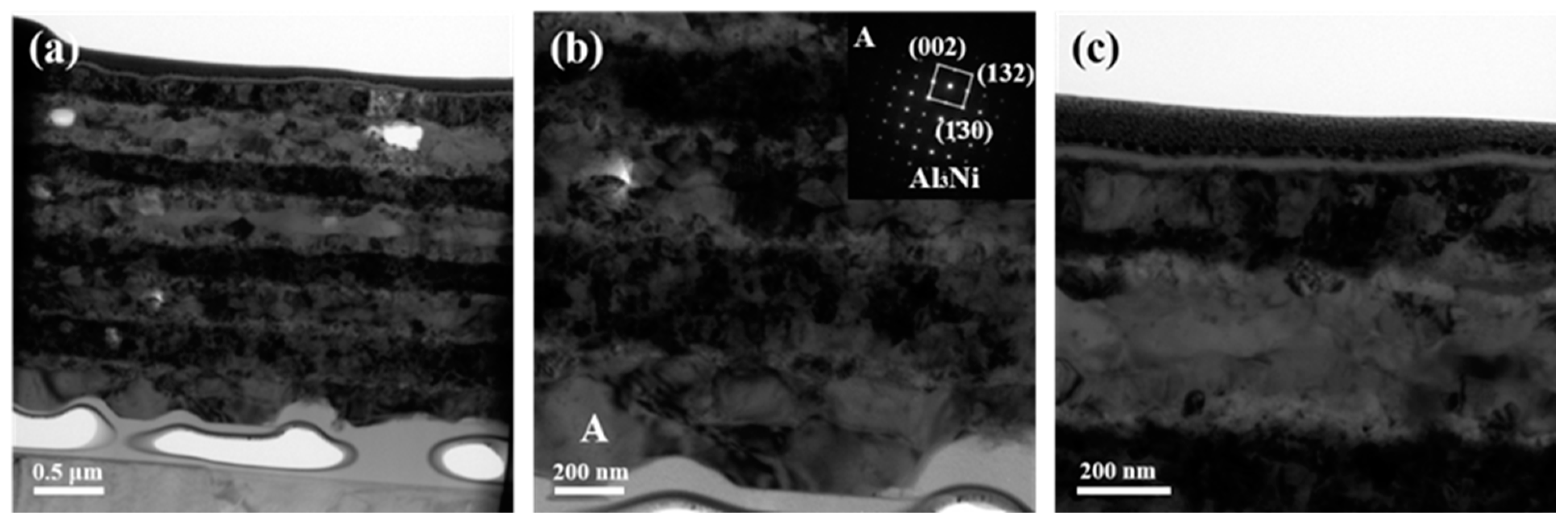 Coatings 12 00453 g006