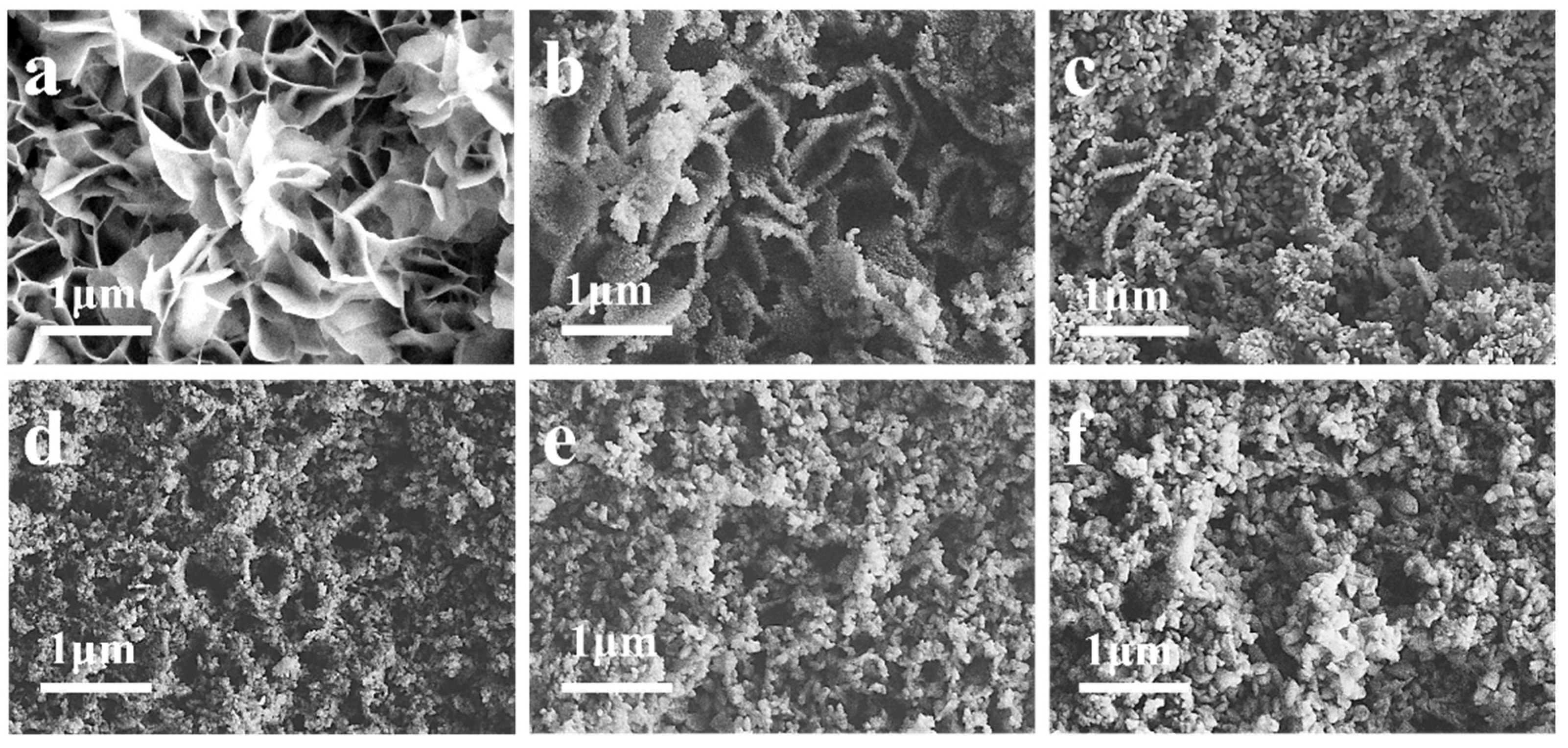 Coatings 12 00461 g004