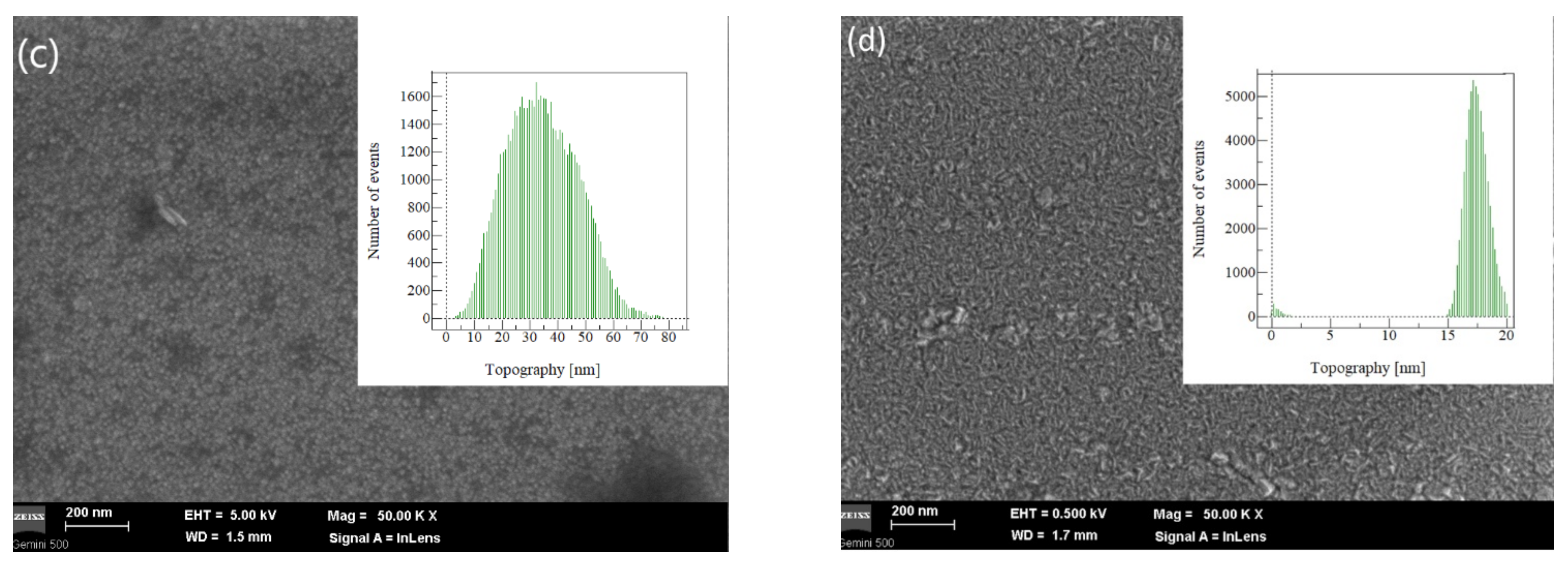 Coatings 12 00470 g003b