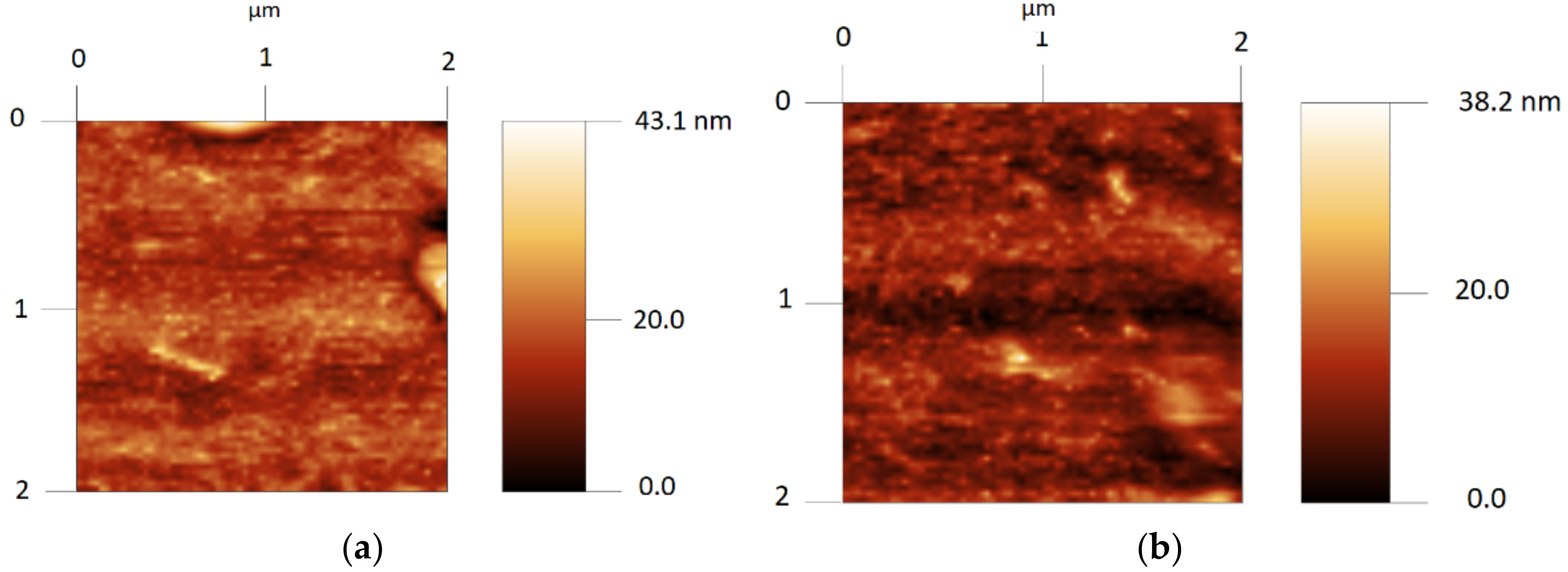 Coatings 12 00470 g005