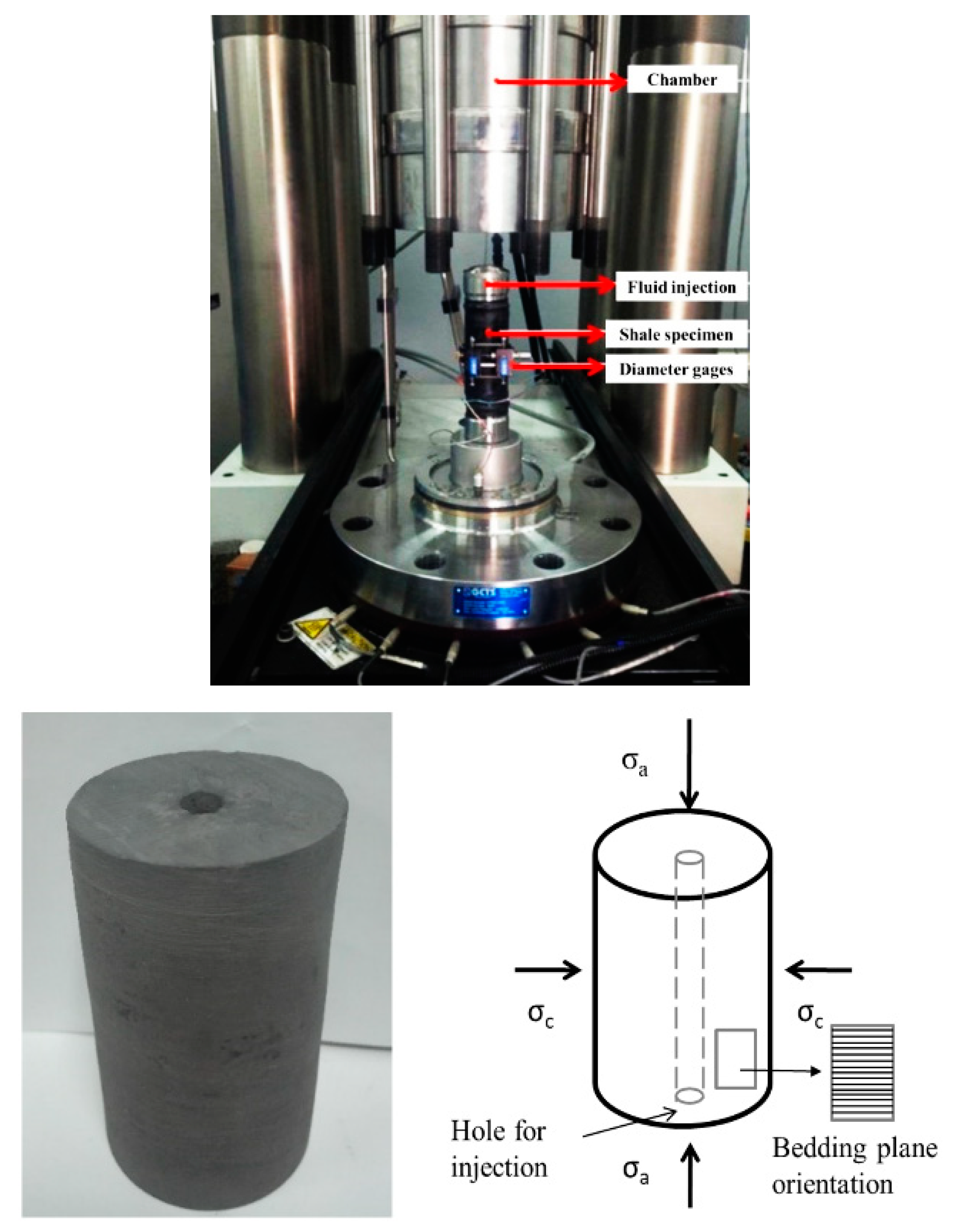 Coatings 12 00483 g001