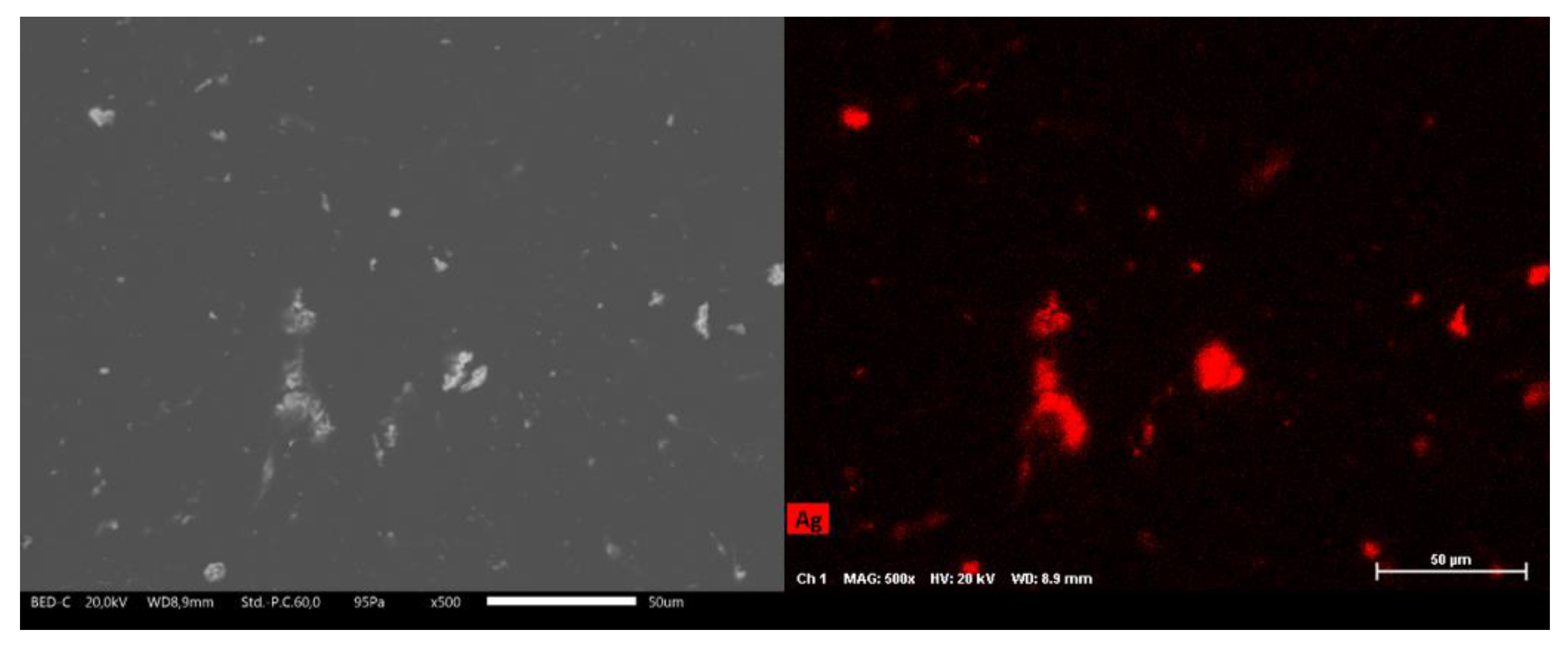 Coatings 12 00486 g005