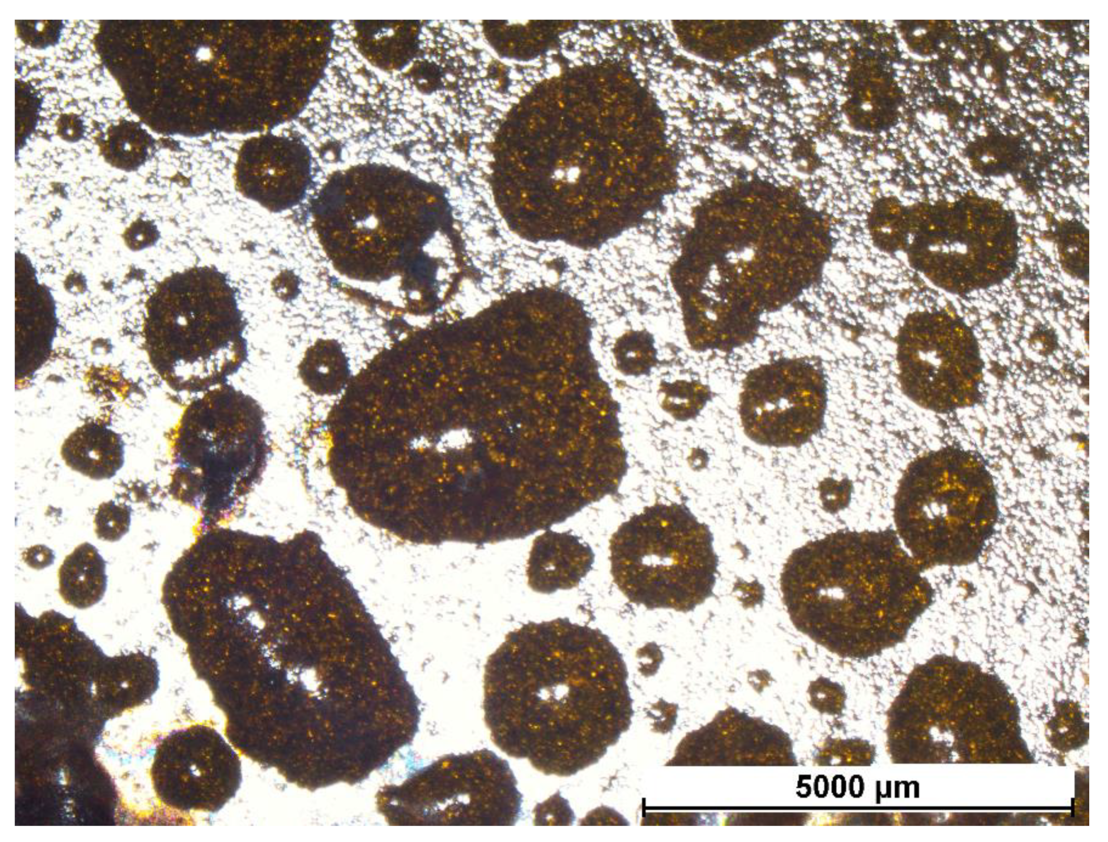 Coatings 12 00486 g008