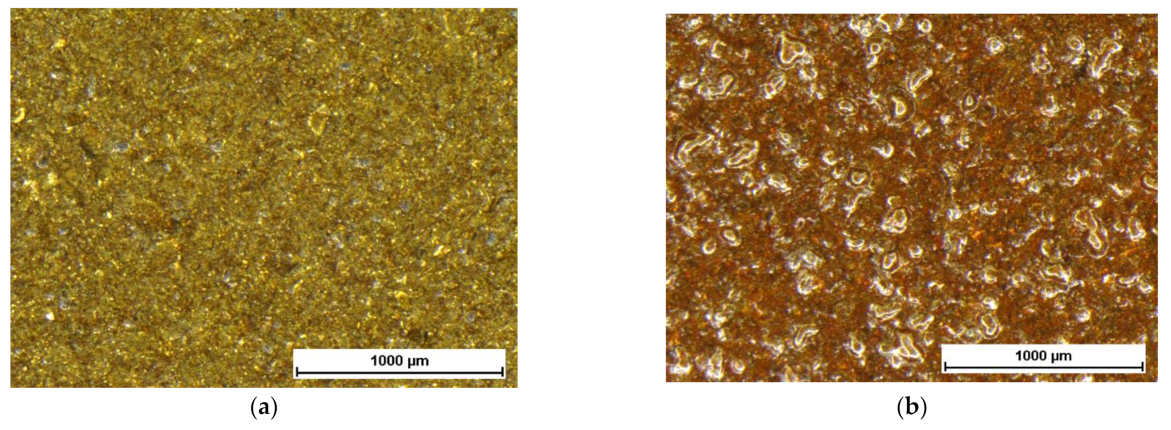 Coatings 12 00486 g014